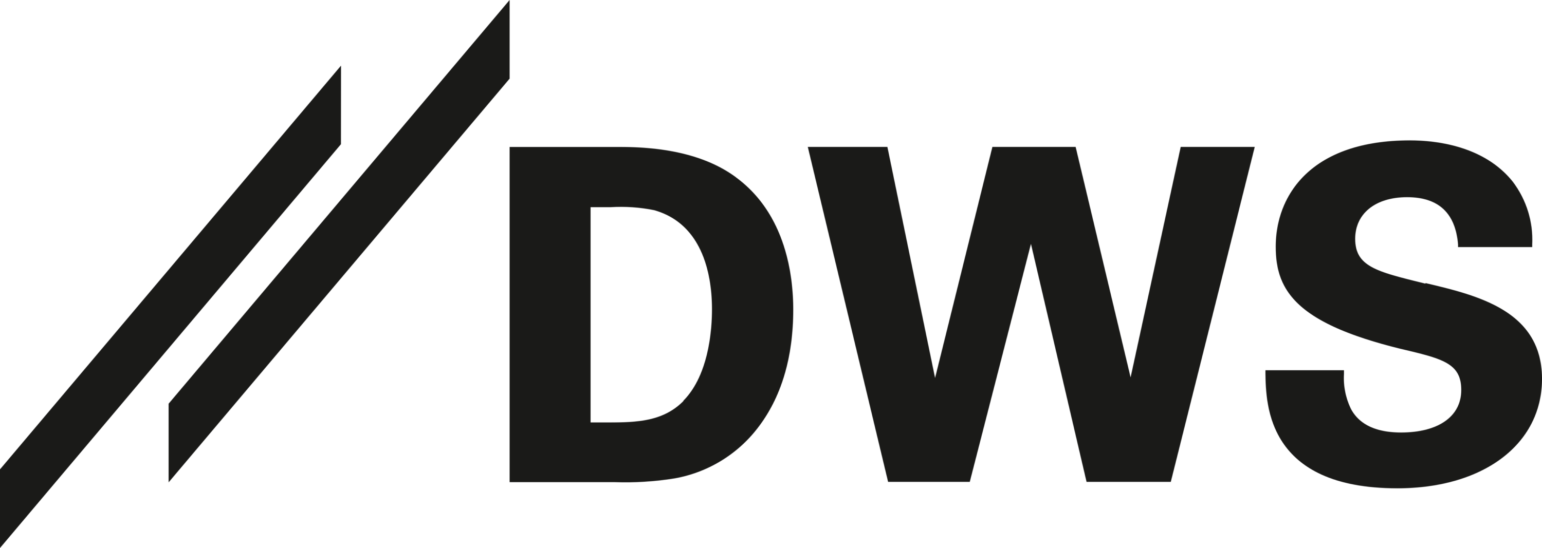 DWS Group Logo