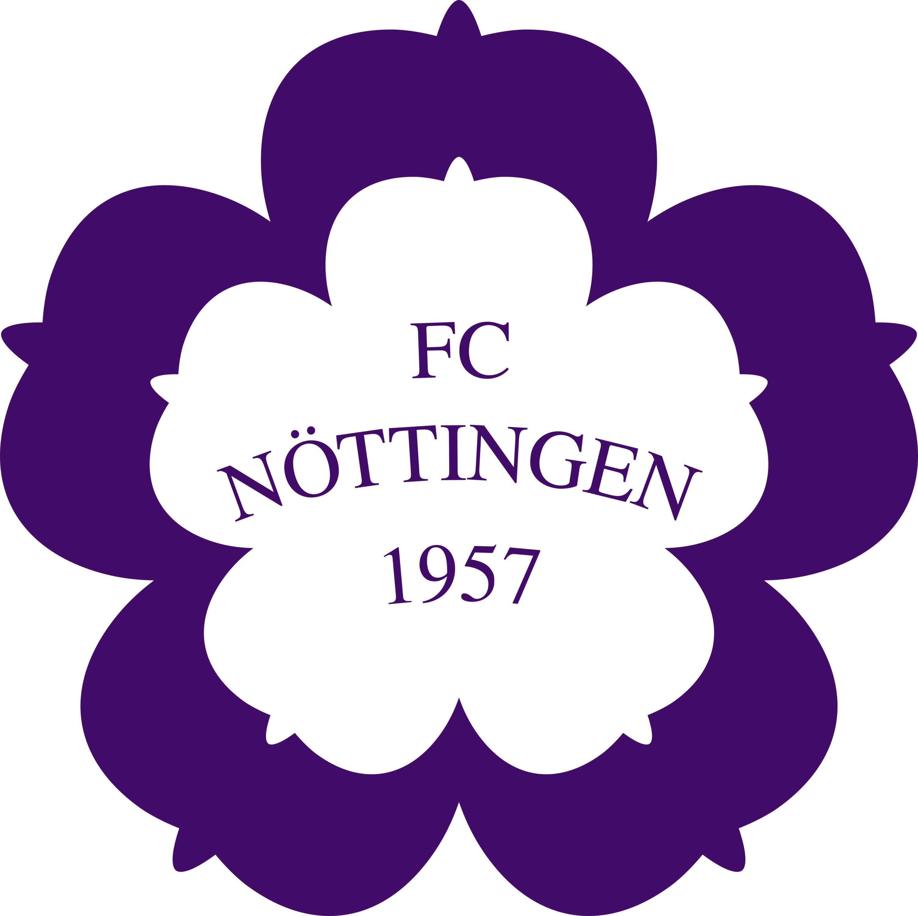 FC Nottingen Logo