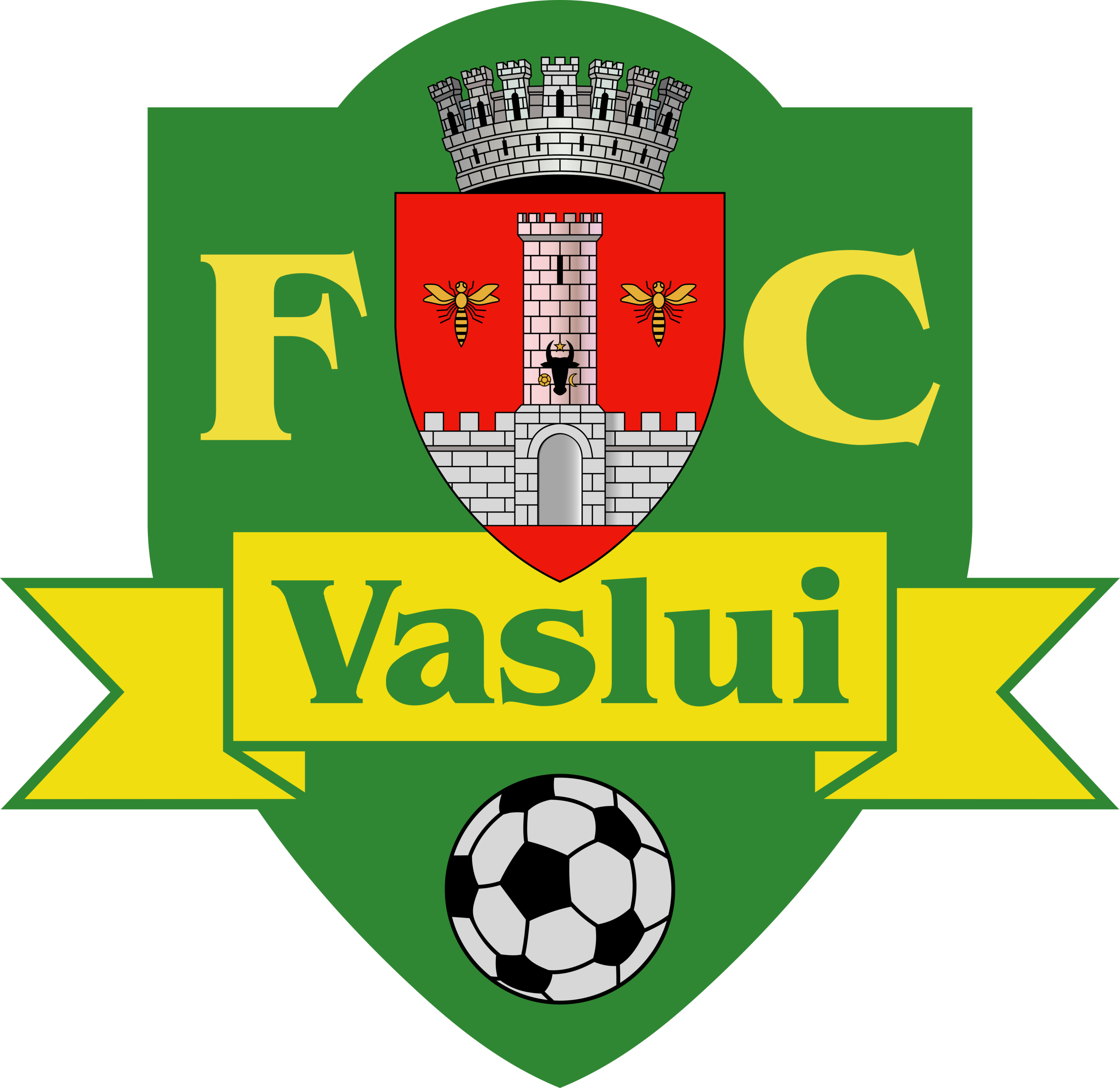 FC Vaslui Logo