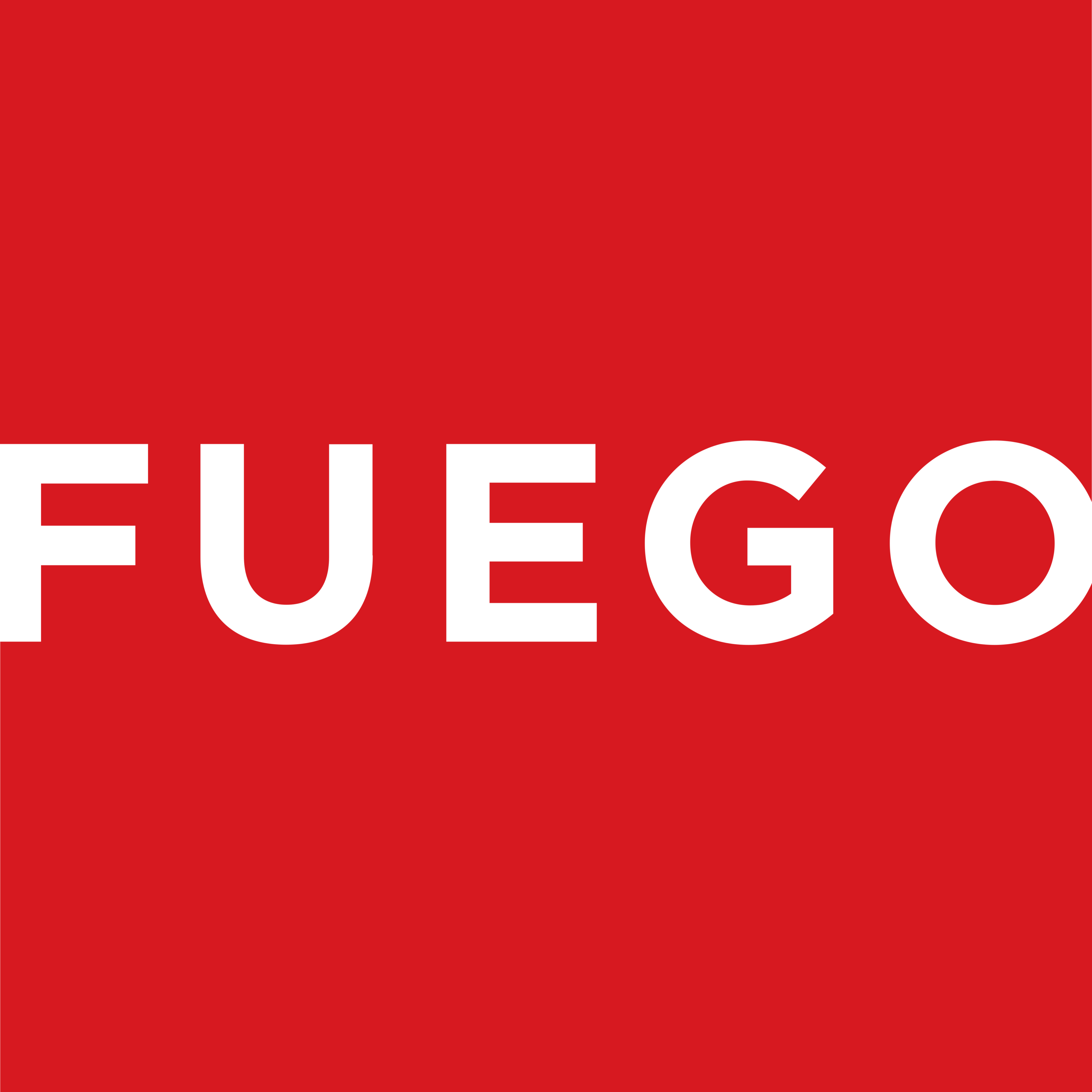 Fuego Grills Logo