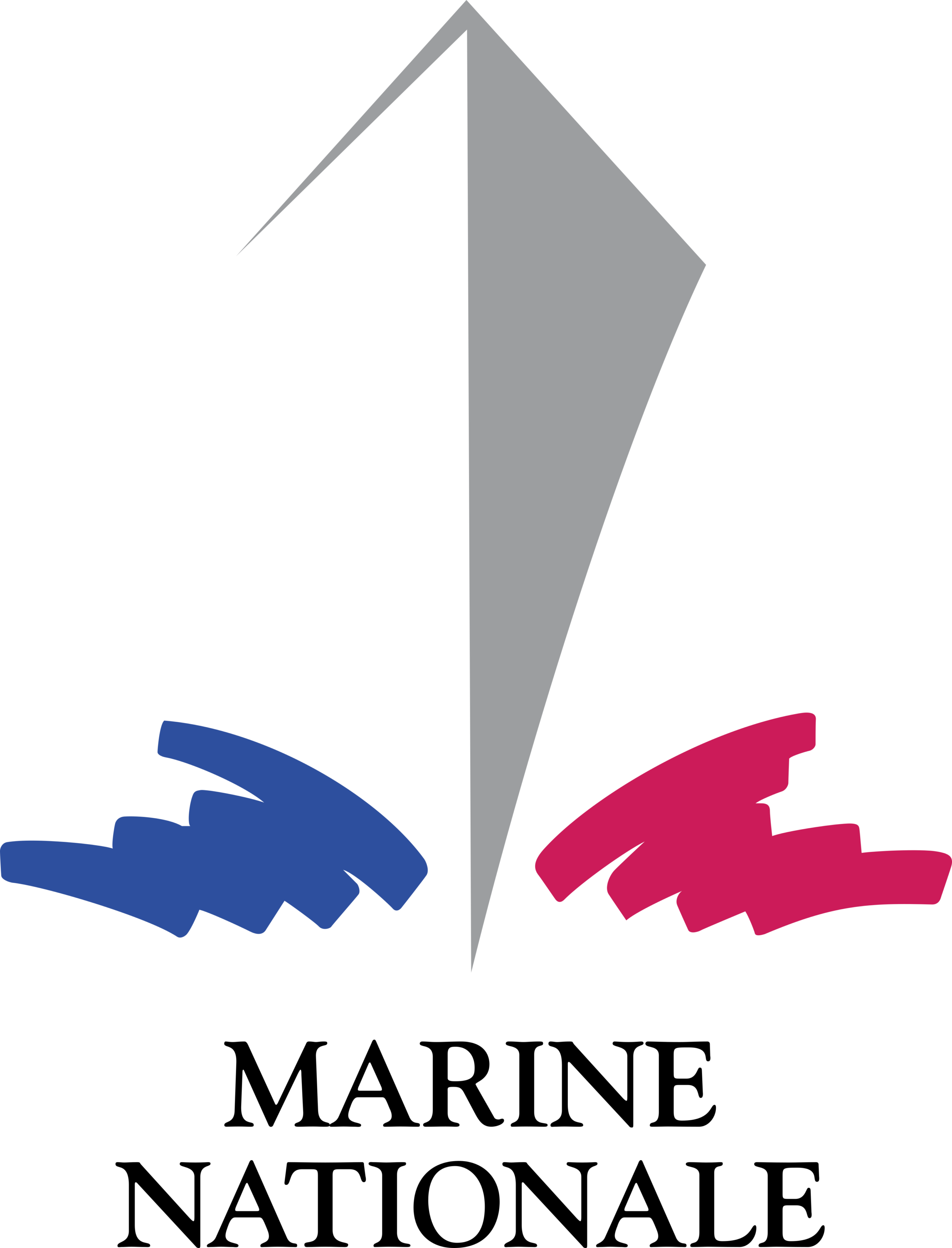 Marine Nationale Logo
