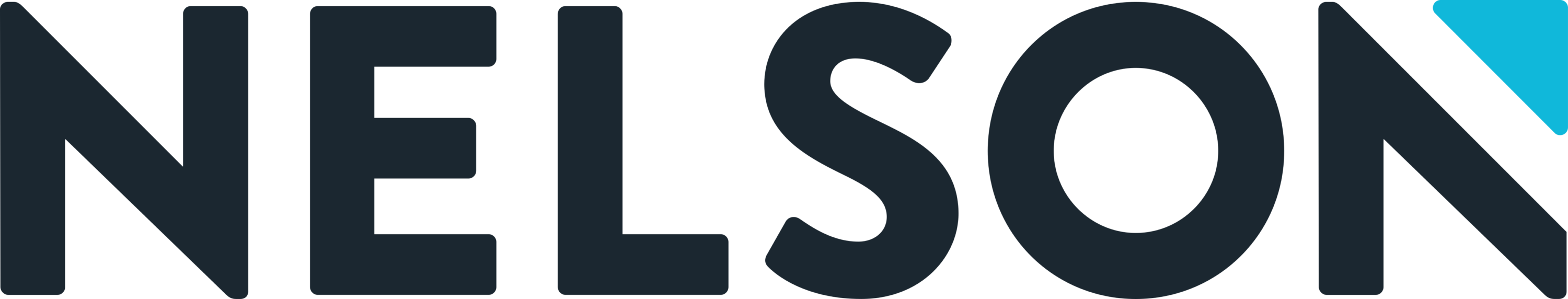 Nelson Logo