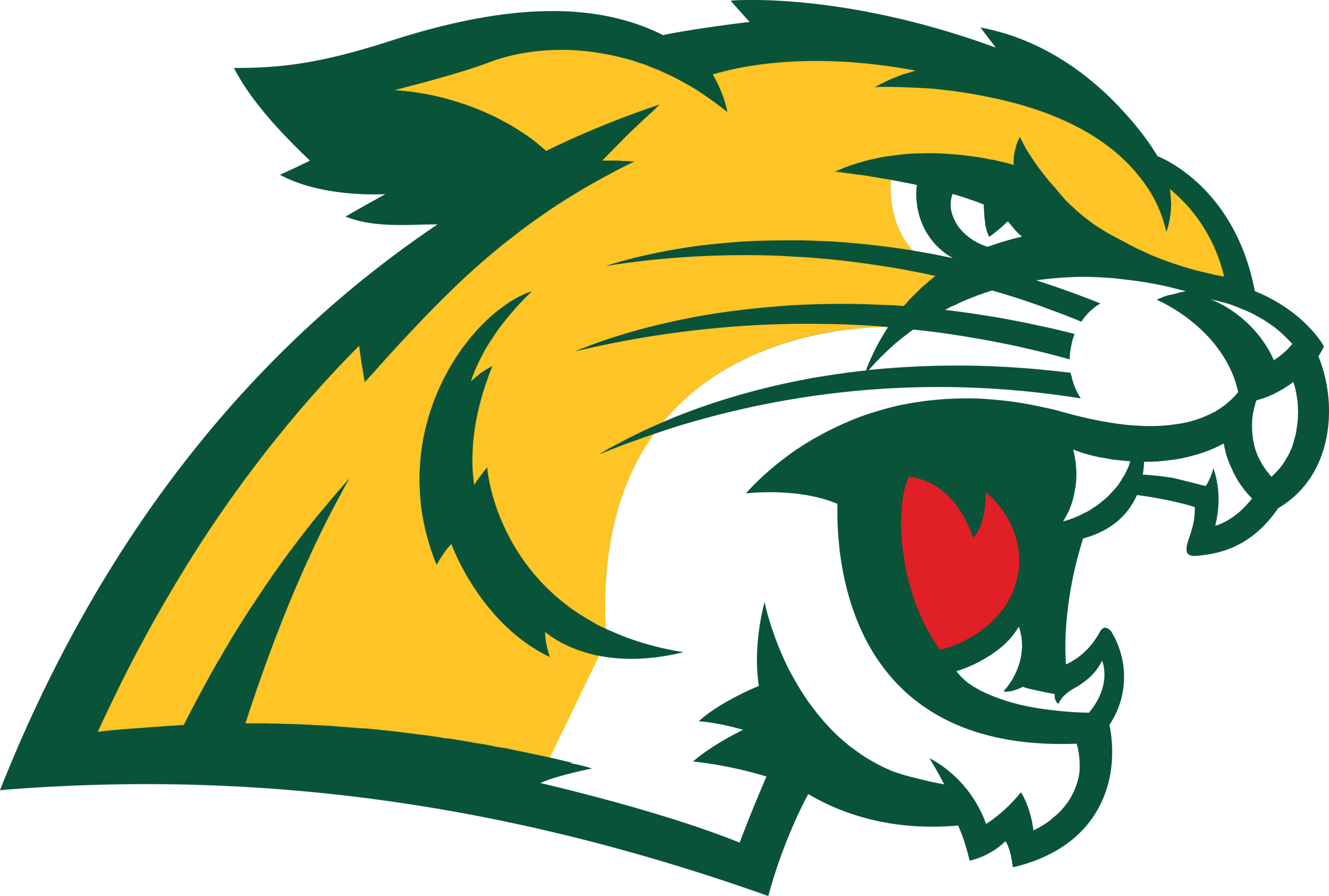 Northern Michigan Wildcats Logo