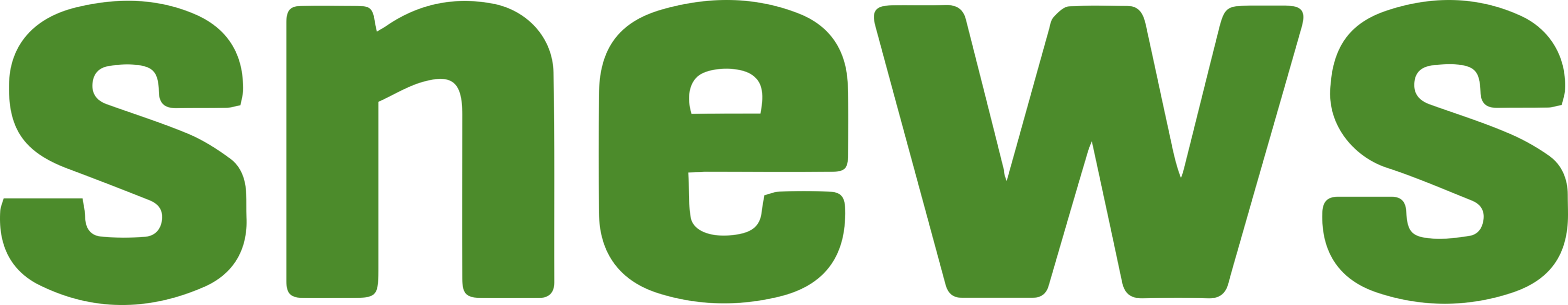 SuperNova Early Warning System (SNEWS) Logo