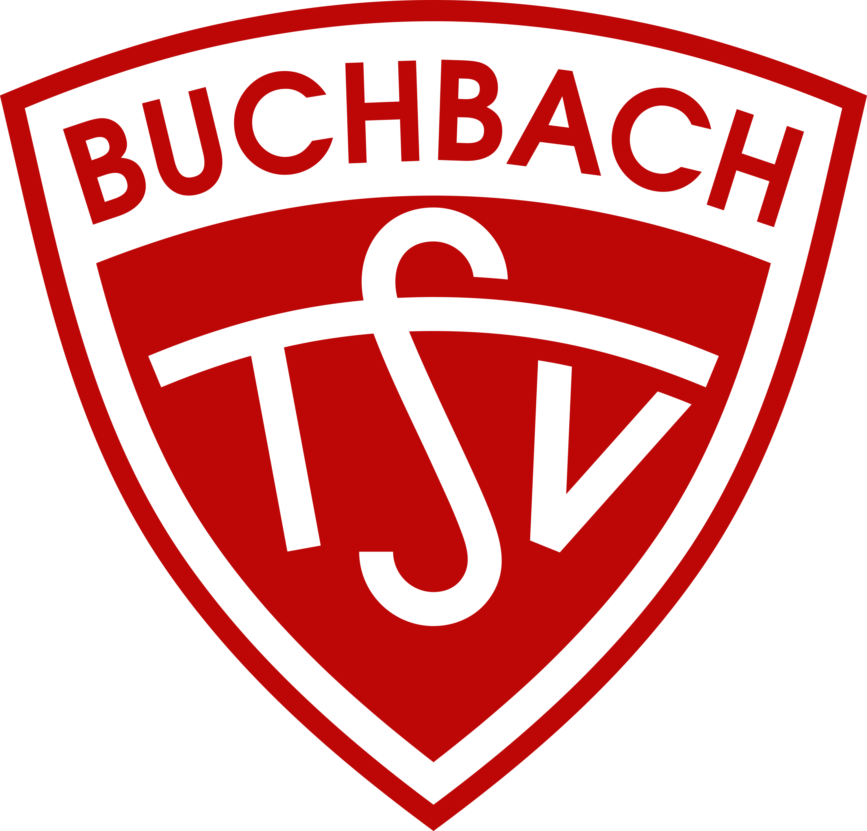 TSV Buchbach Logo