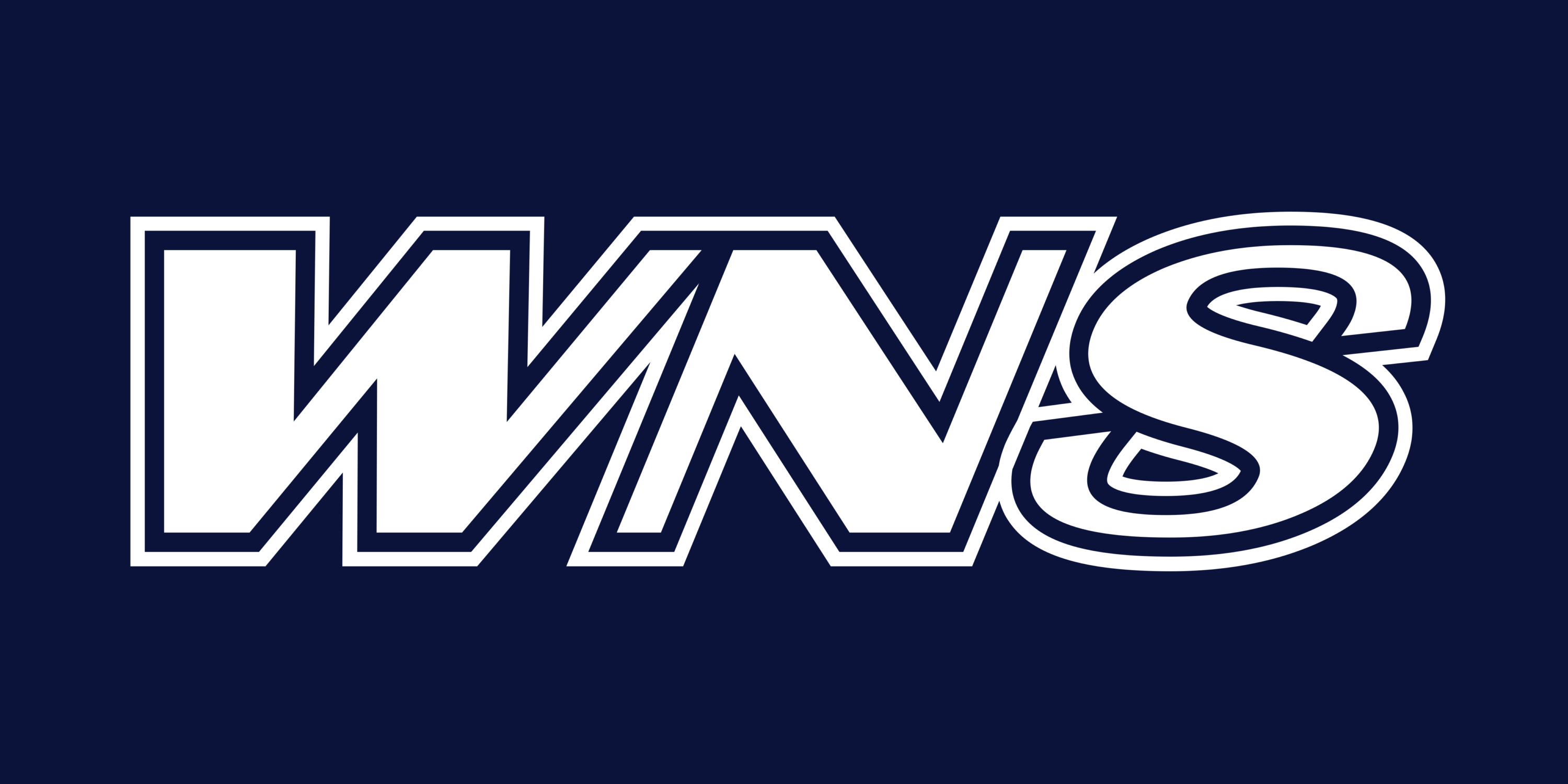 WNS Archery Logo