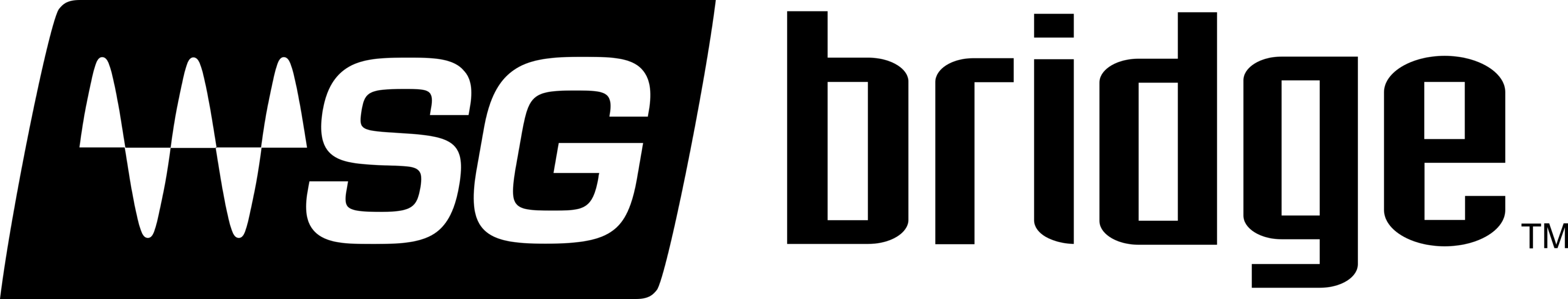 WSG Bridge Logo