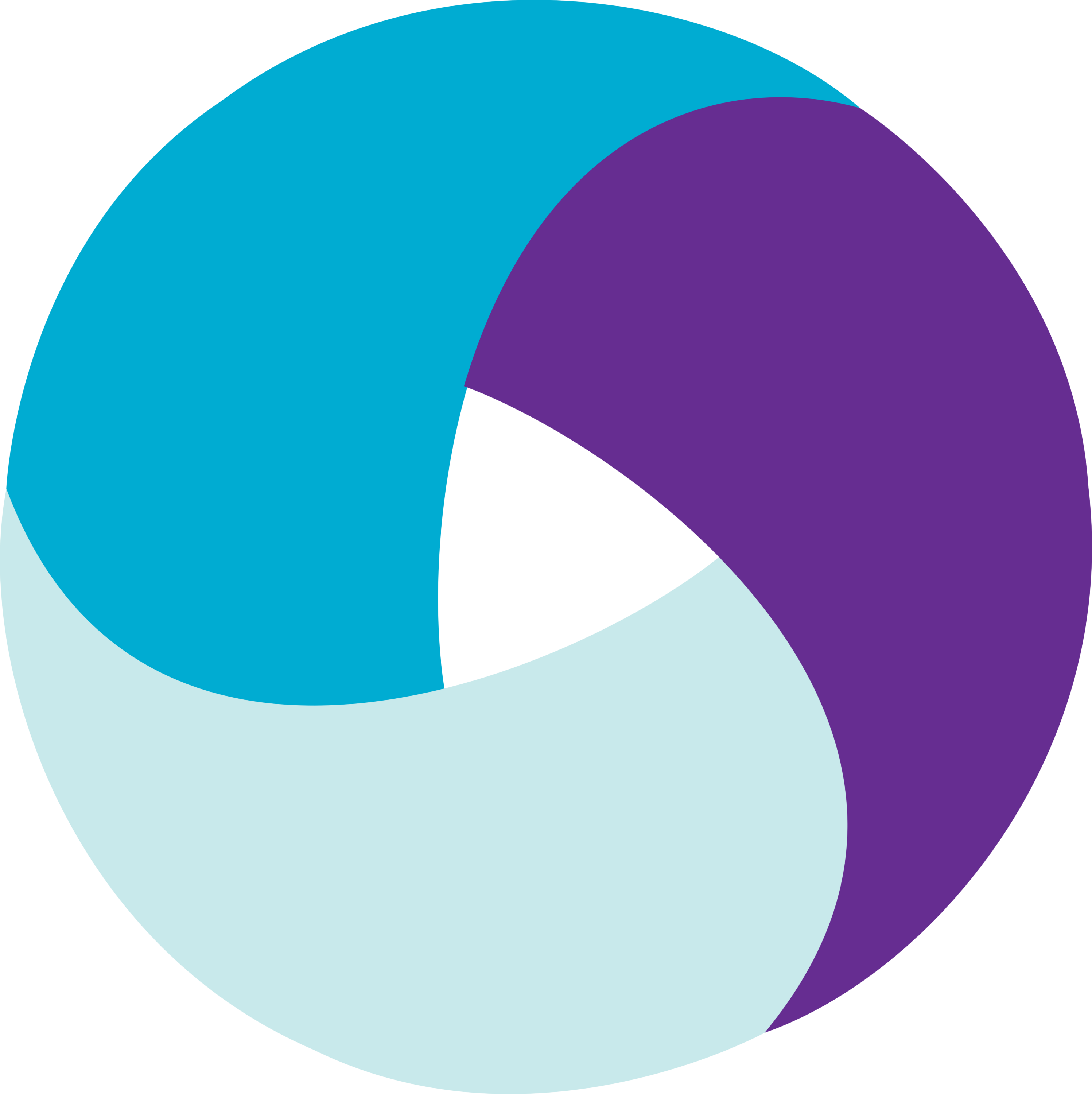Appium Logo