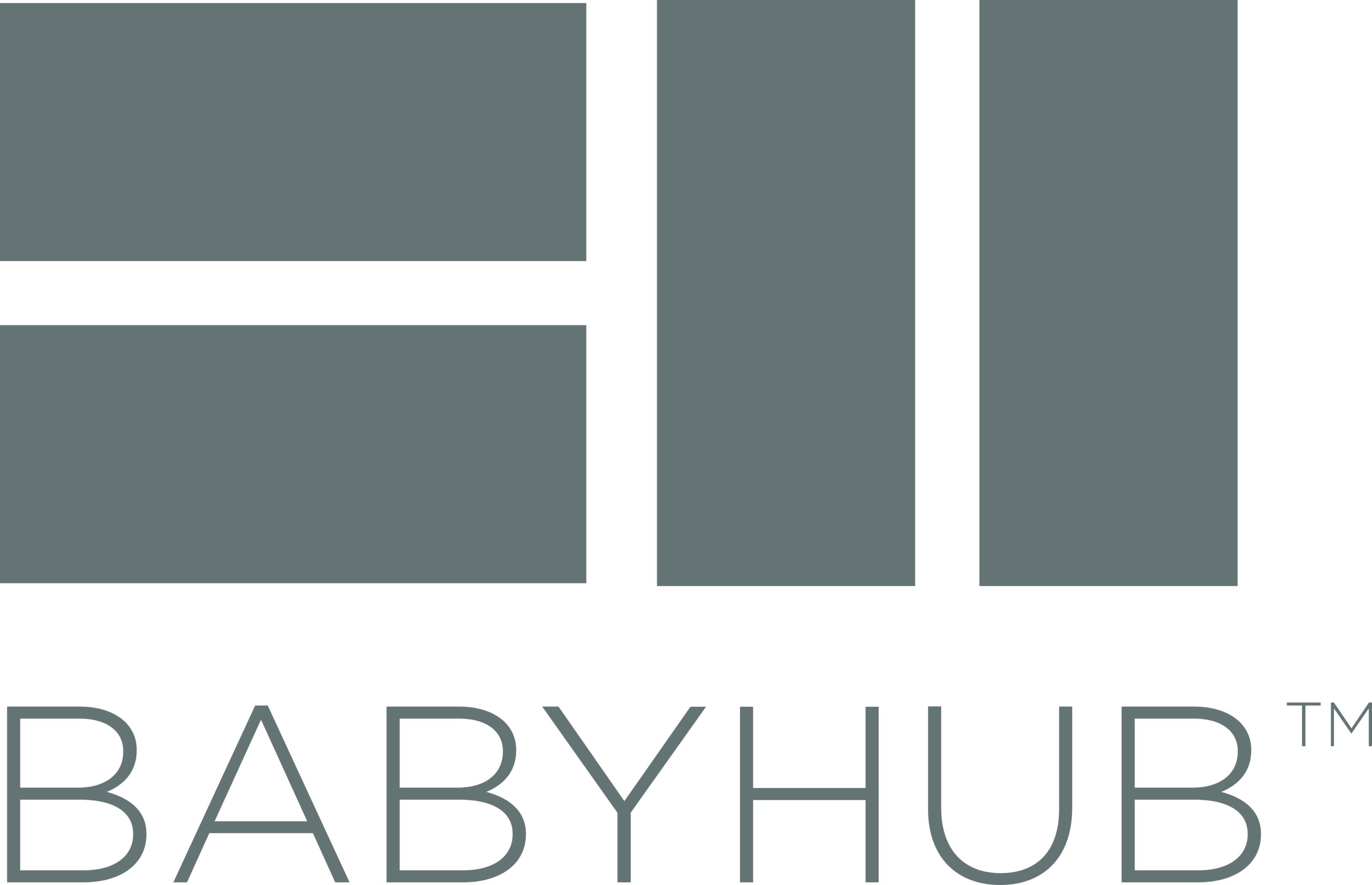 BabyHub Logo
