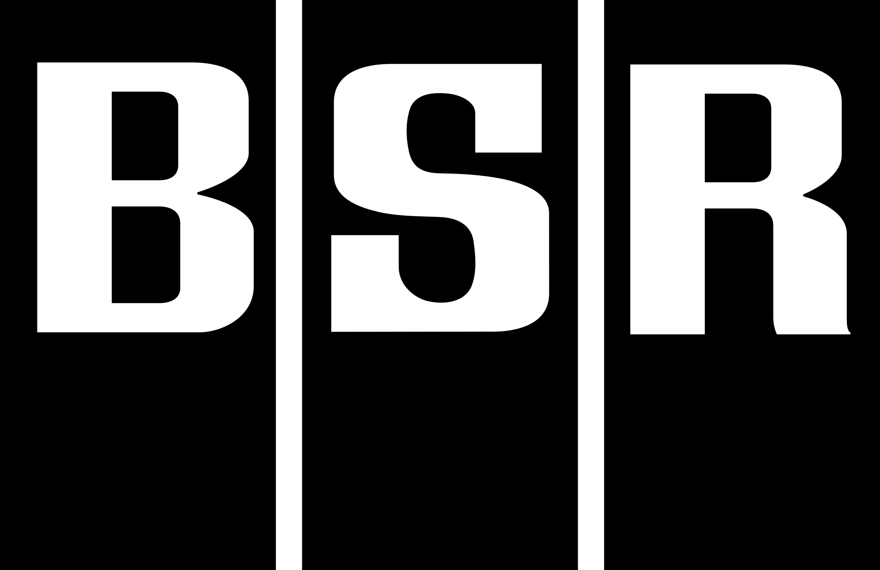 Birmingham Sound Reproducers Logo