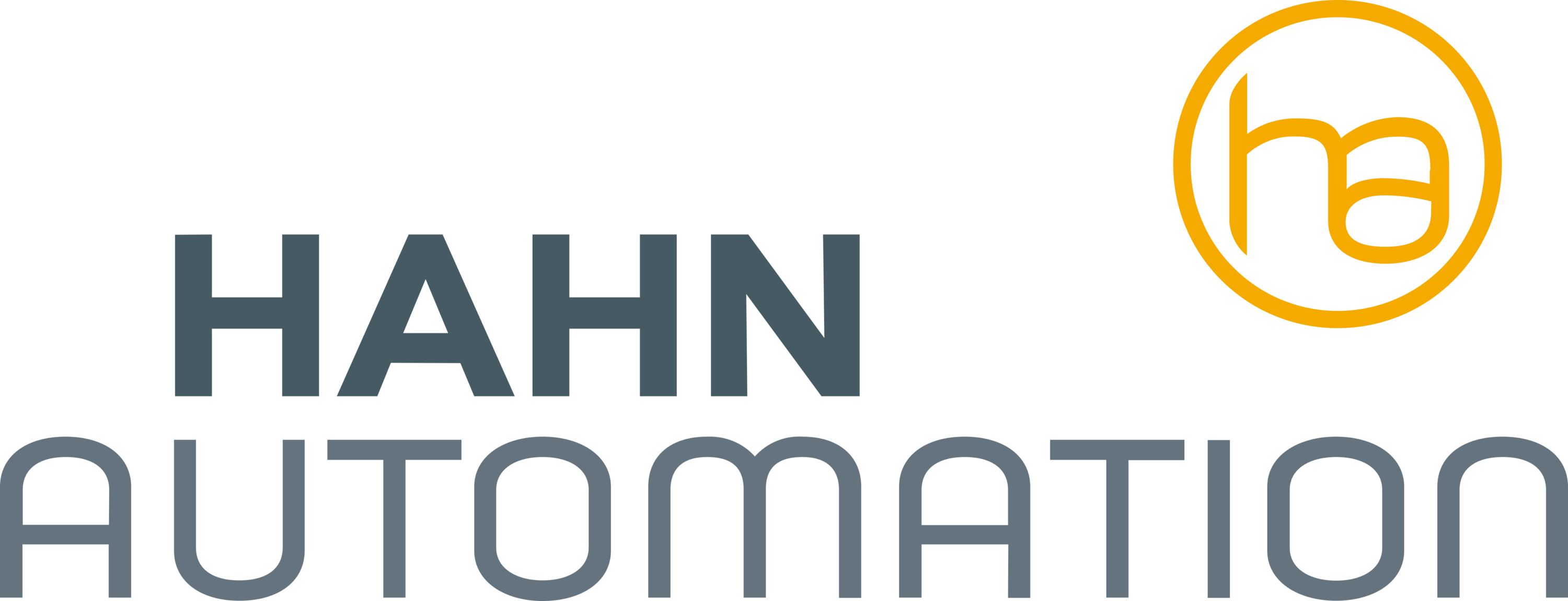 HAHN Automation Logo
