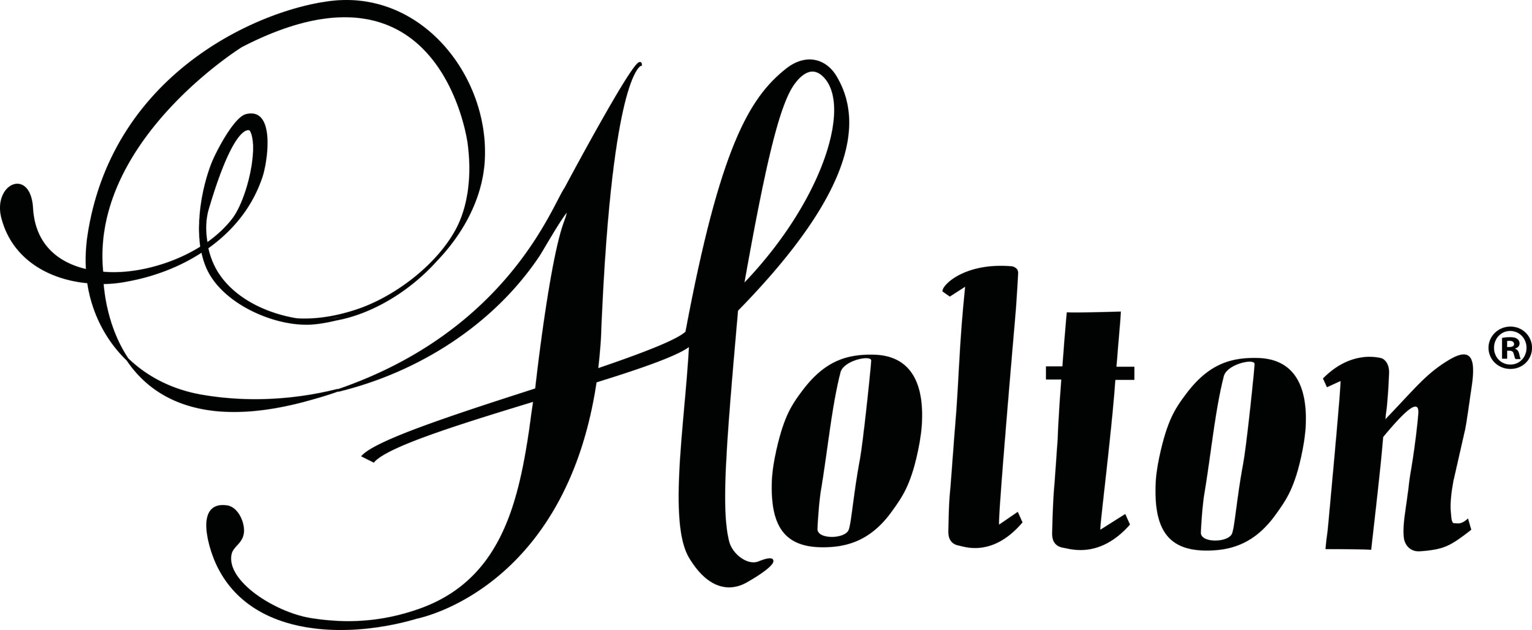 Holton Instruments Logo