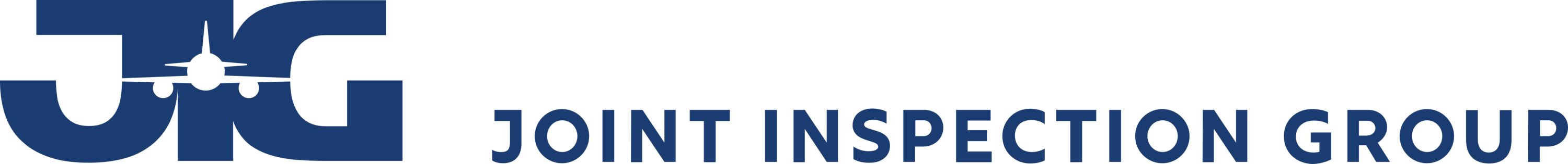 Joint Inspection Group Logo
