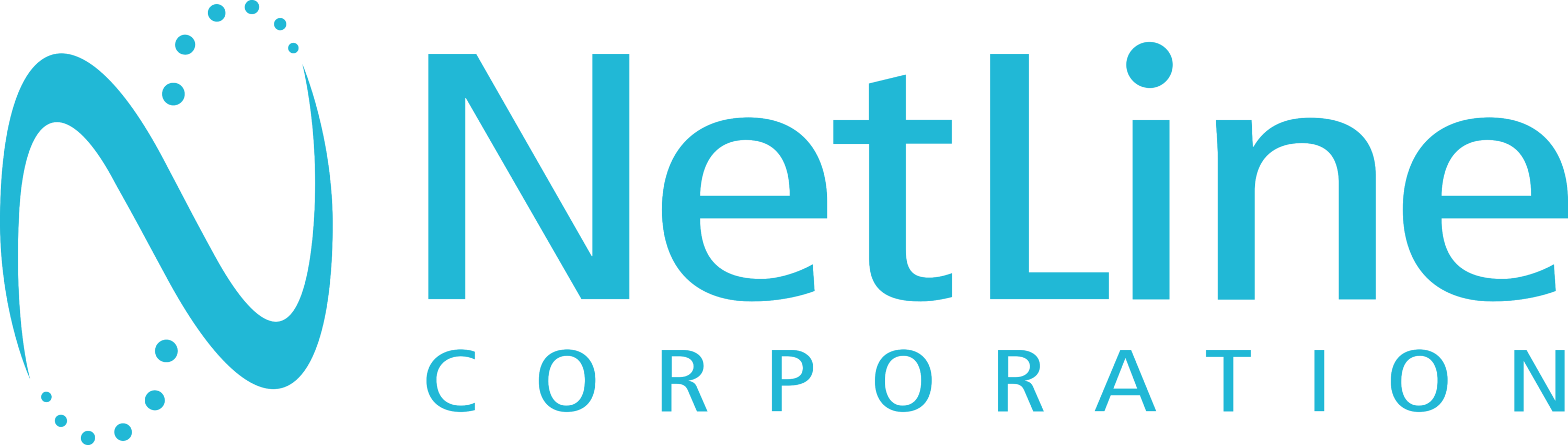 Netline Corporation Logo