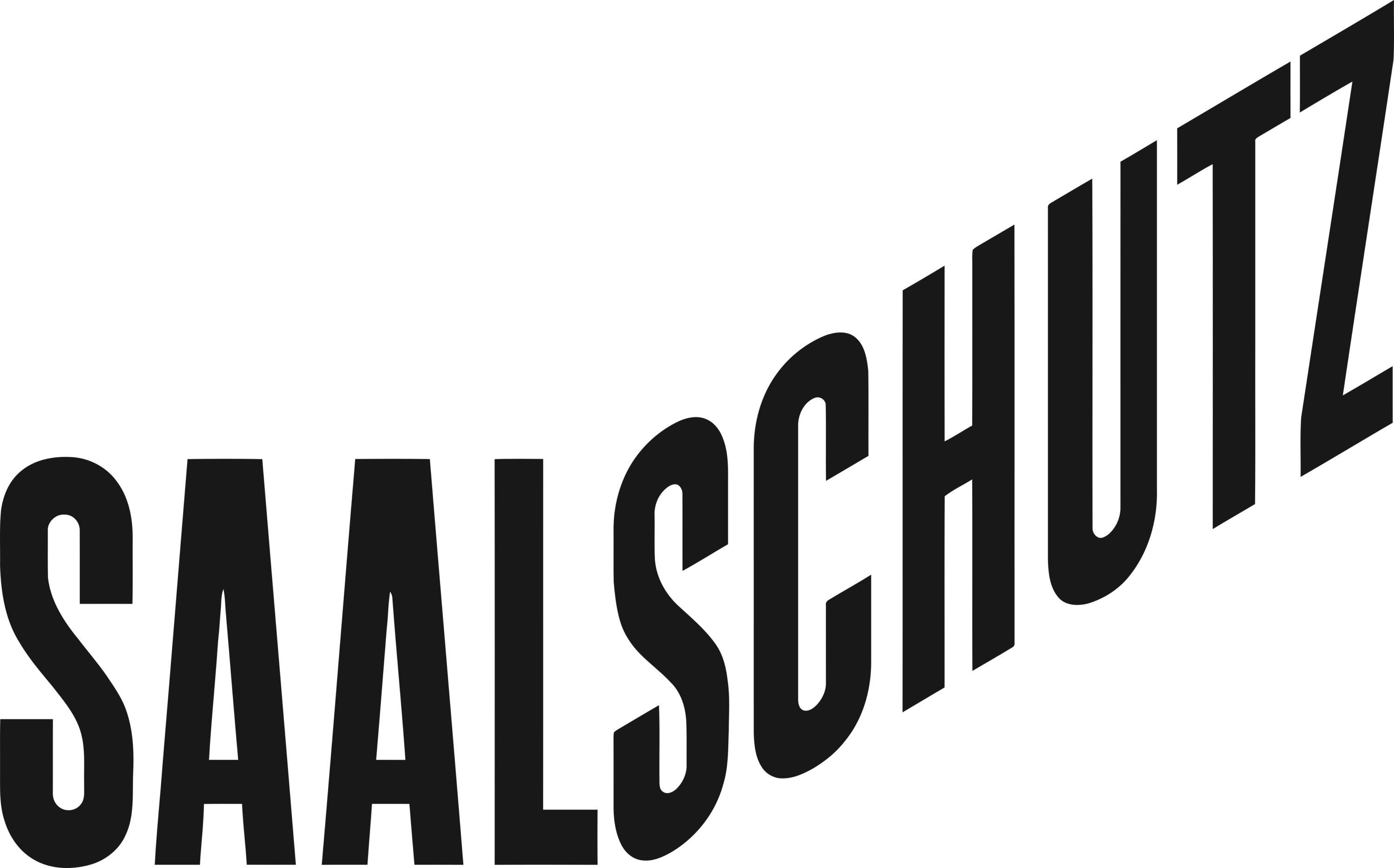Saalschutz Logo