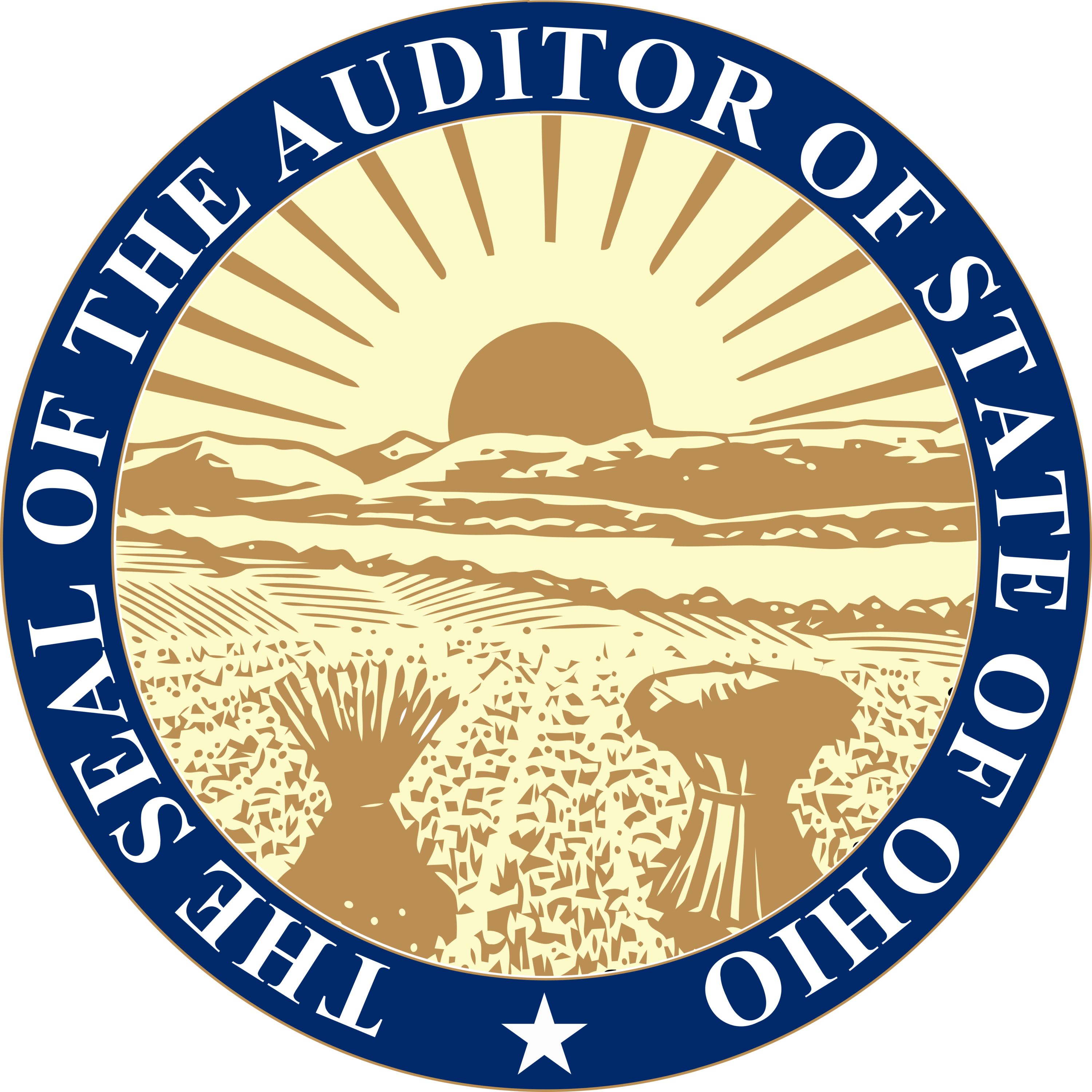 State Auditor of Ohio Logo