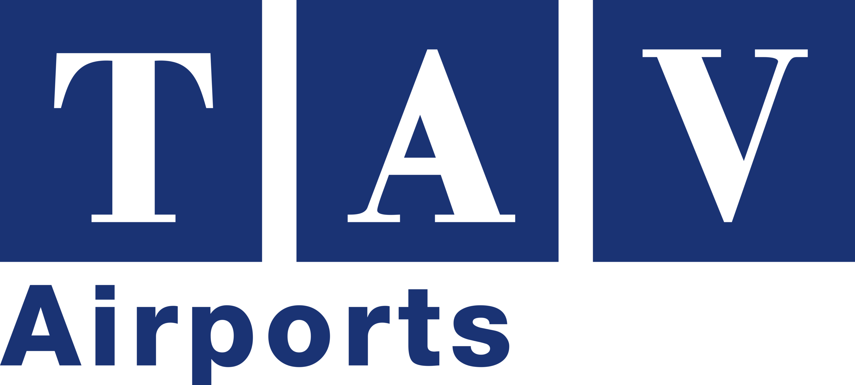 TAV Airports Holding Logo