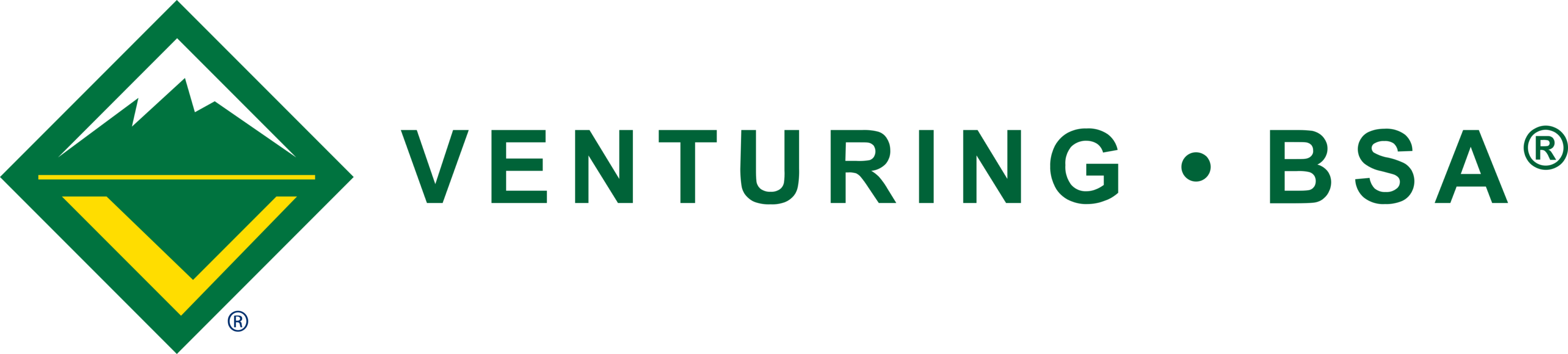 Venturing BSA Logo