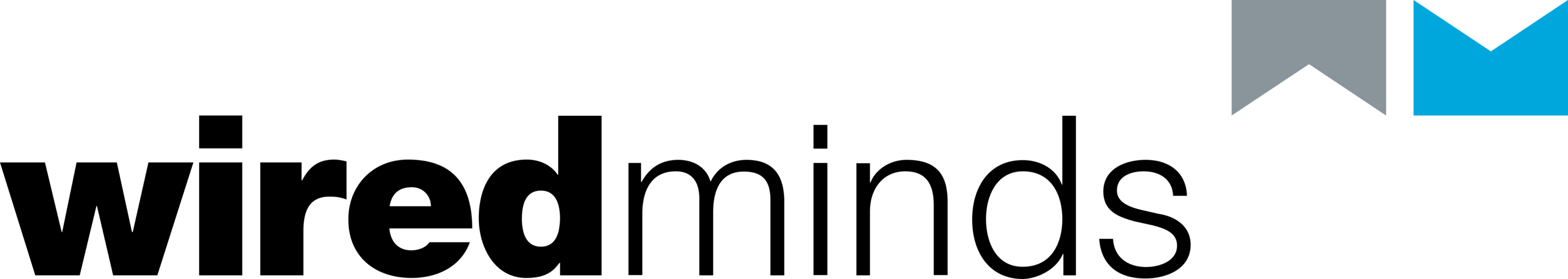 WiredMinds Logo