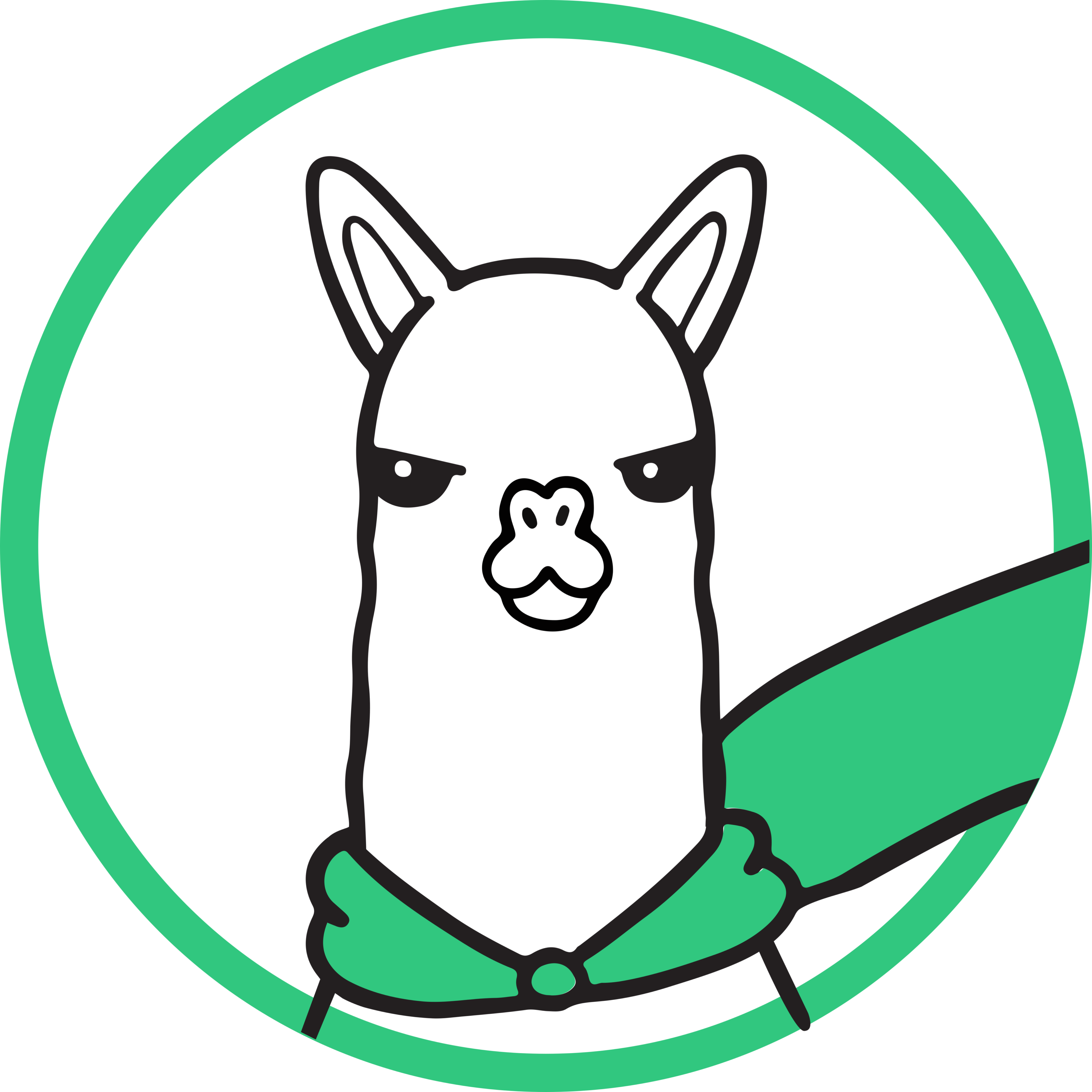 Alpaca Finance (ALPACA) Logo
