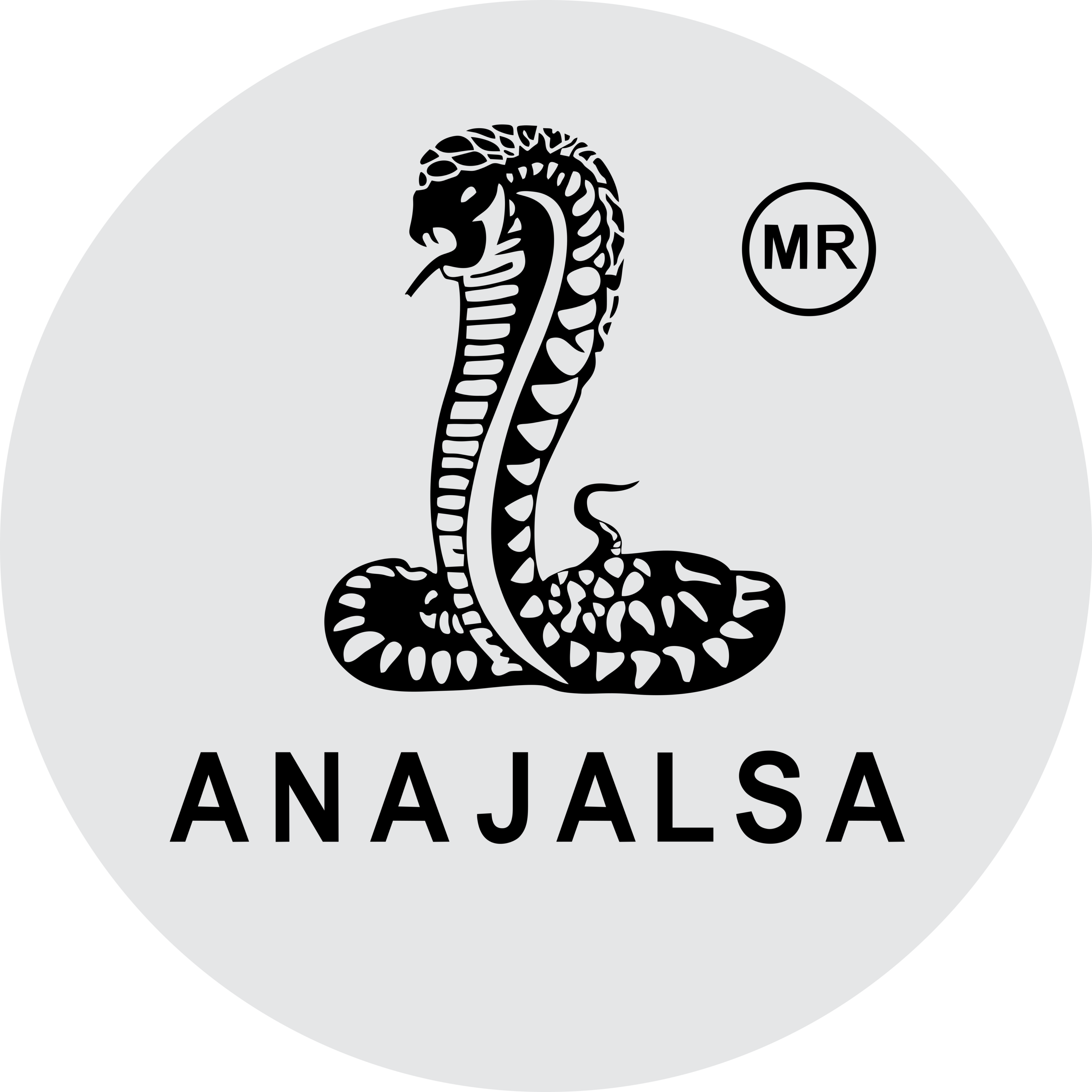 Anajalsa Logo