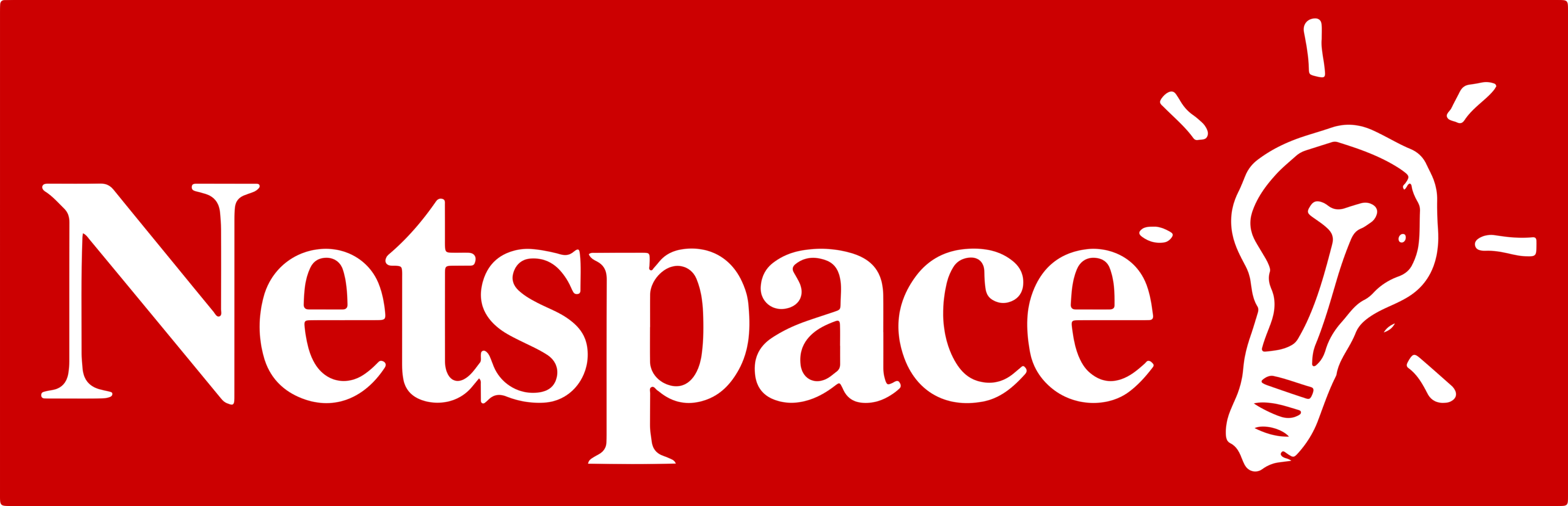 Netspace Logo