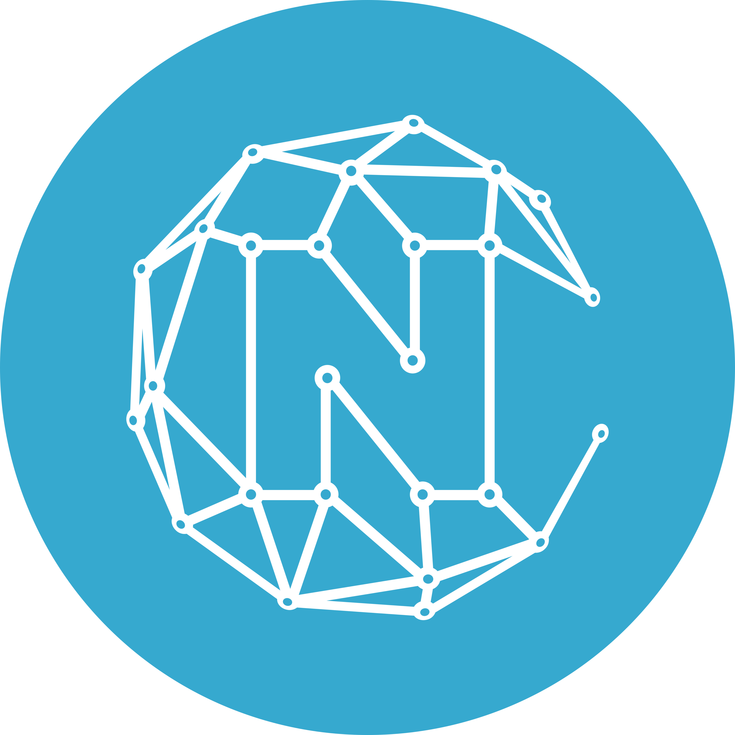 Nitro Network (NCash) Logo