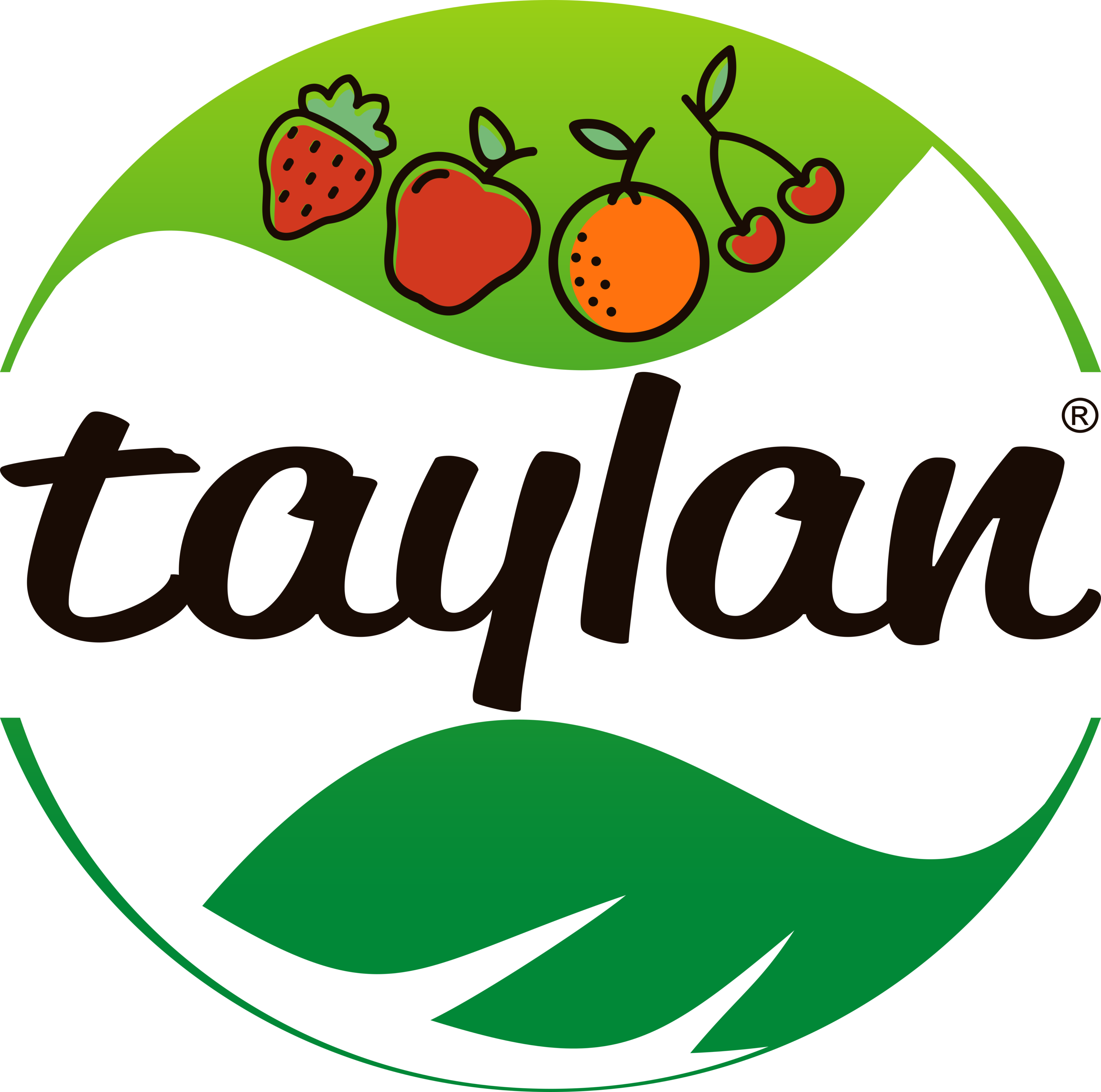 Taylan Logo