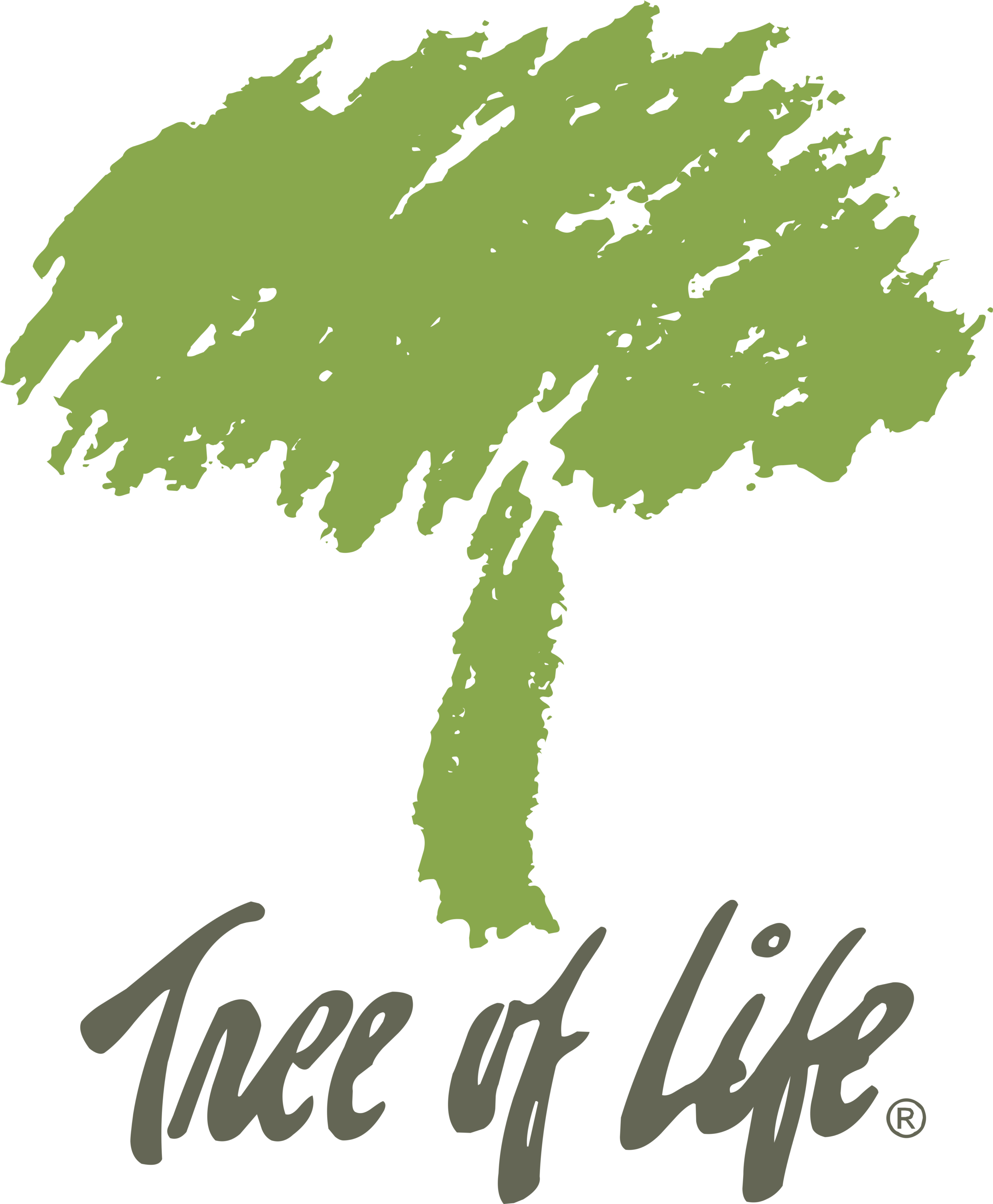 Tree of Life Logo