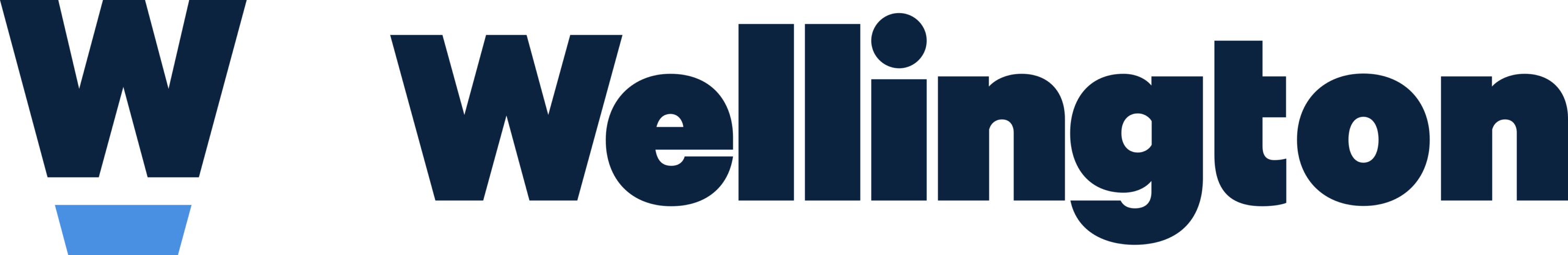 Wellington School Logo