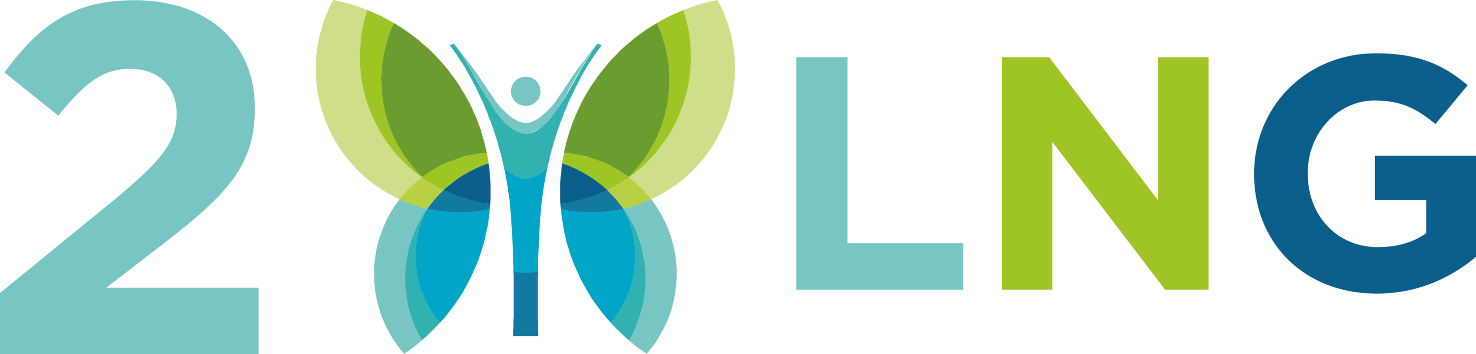 2LNG srl Logo
