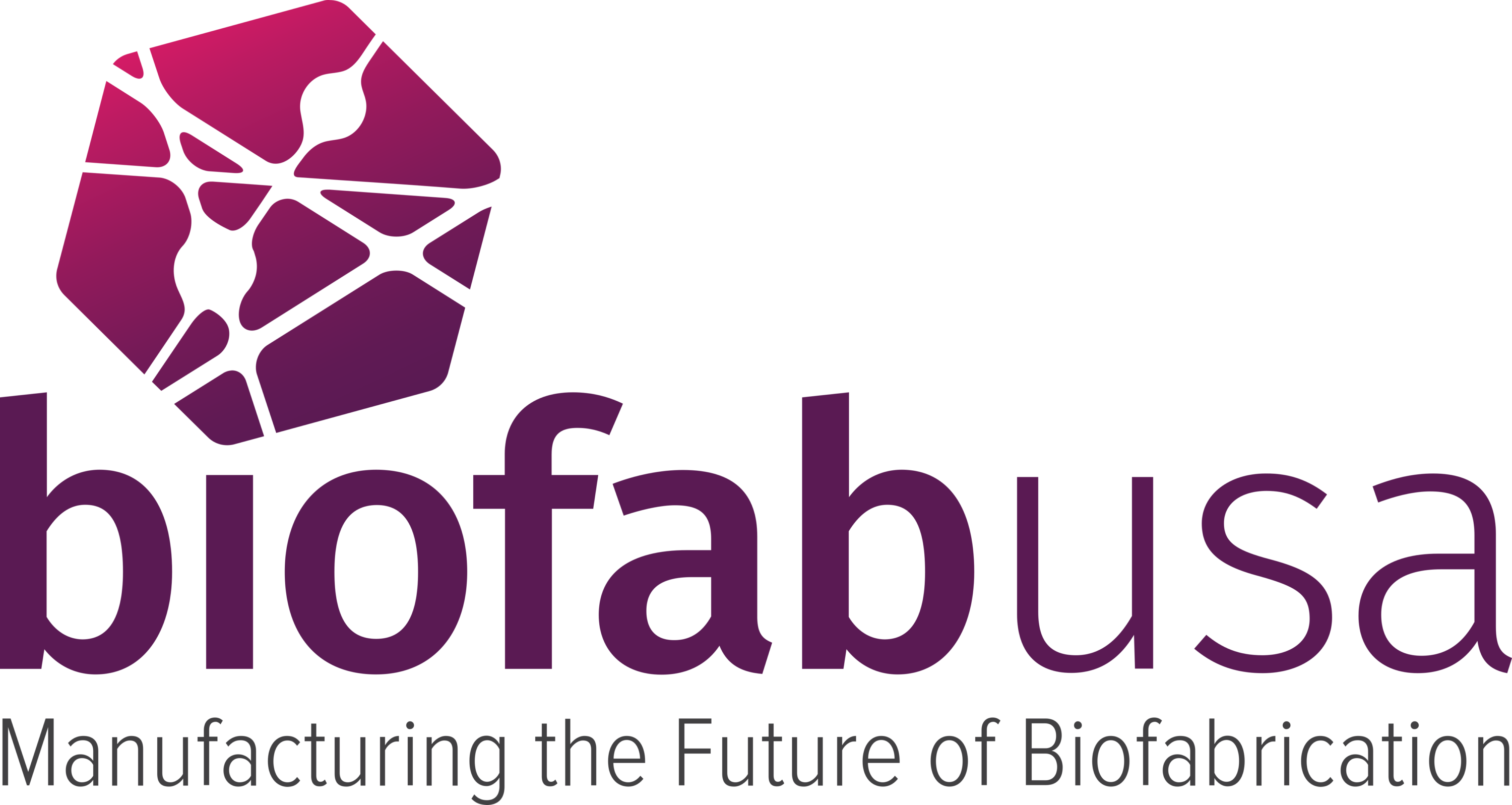 Biofabusa Logo