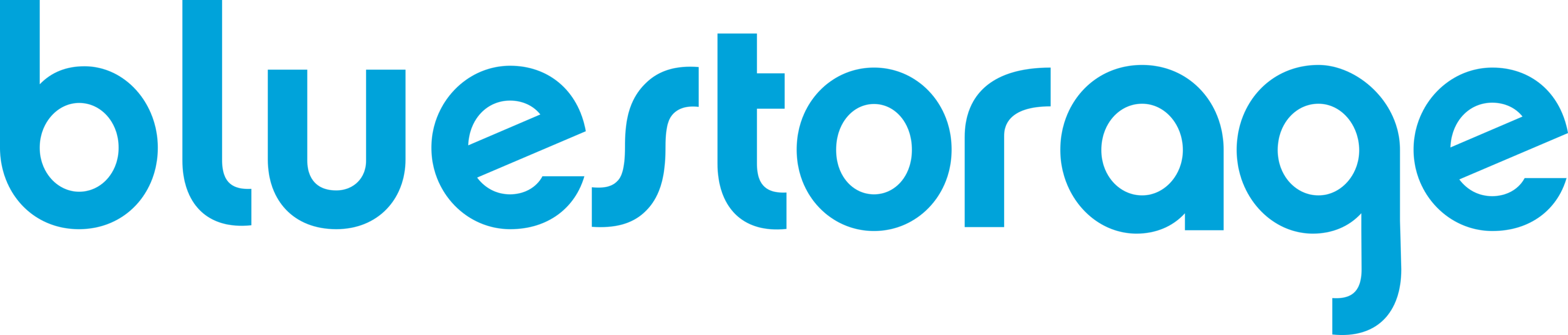 Bluestorage Logo