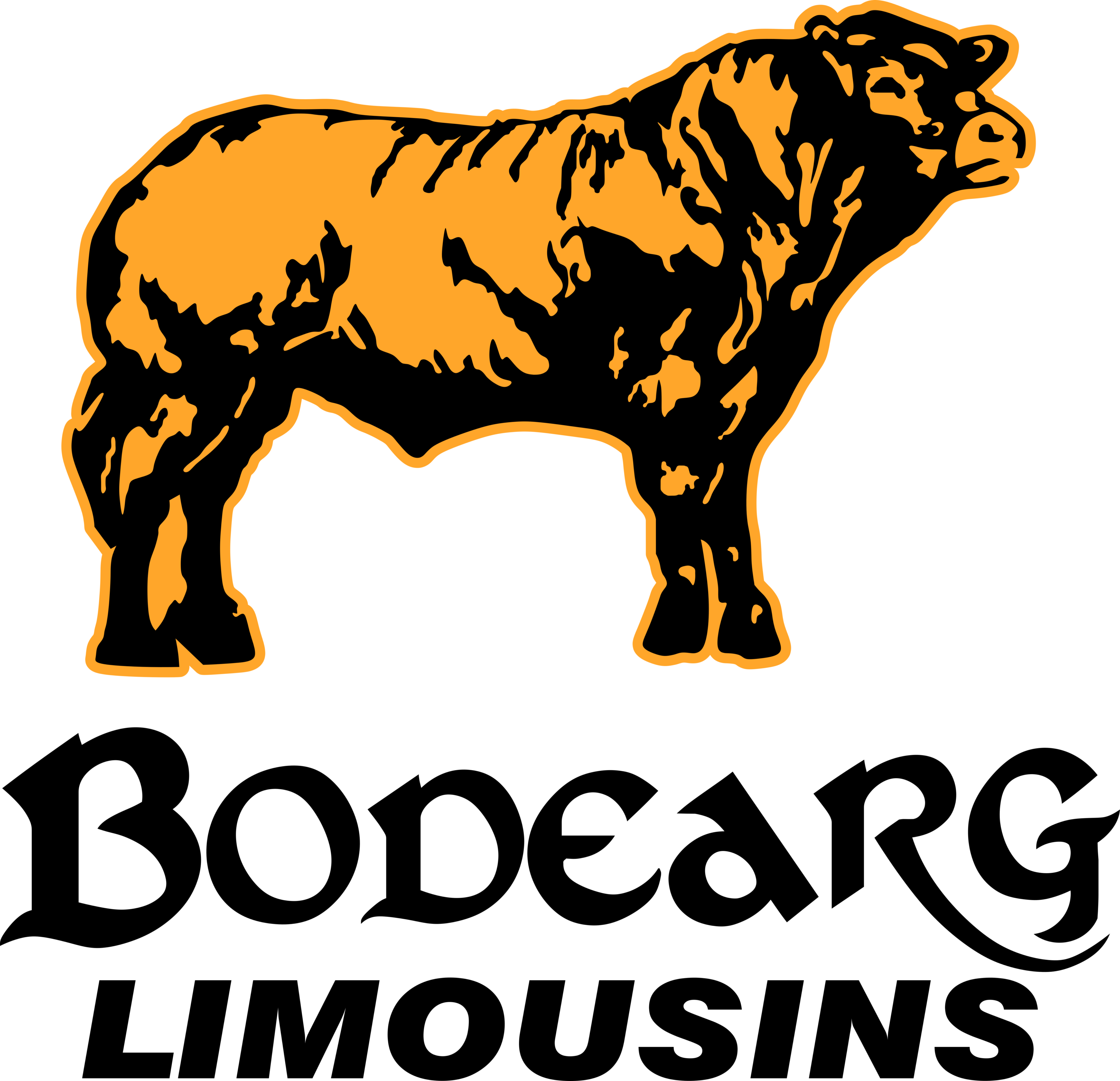 Bodearg Limousins Logo