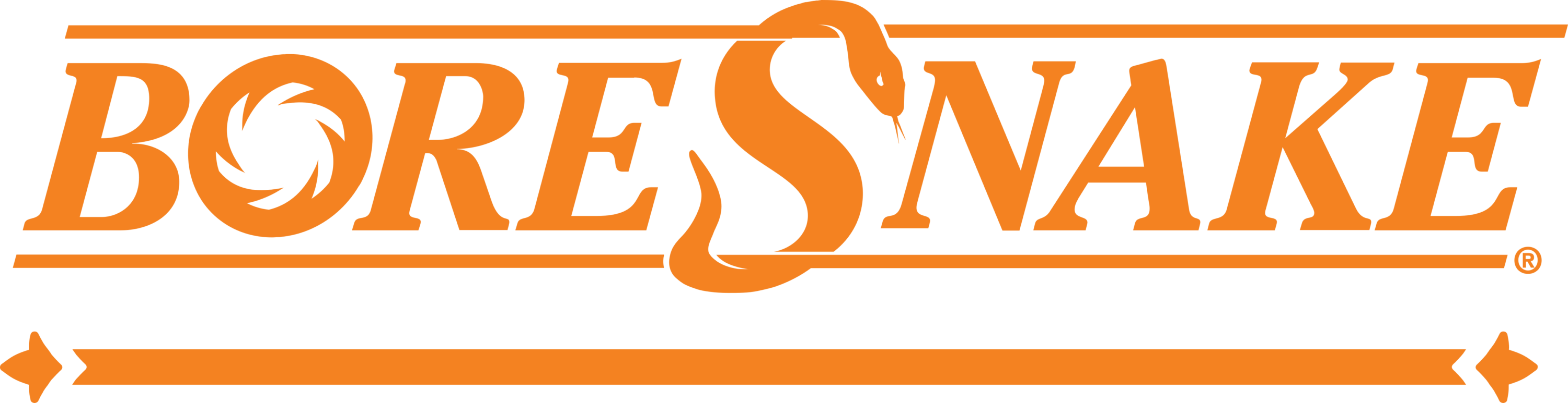 Boresnake Logo