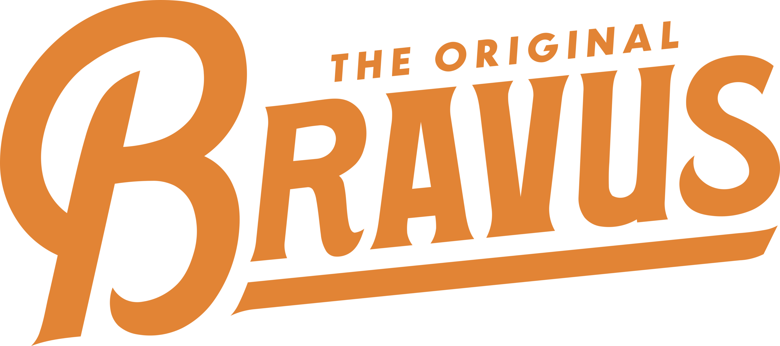 Bravus Logo
