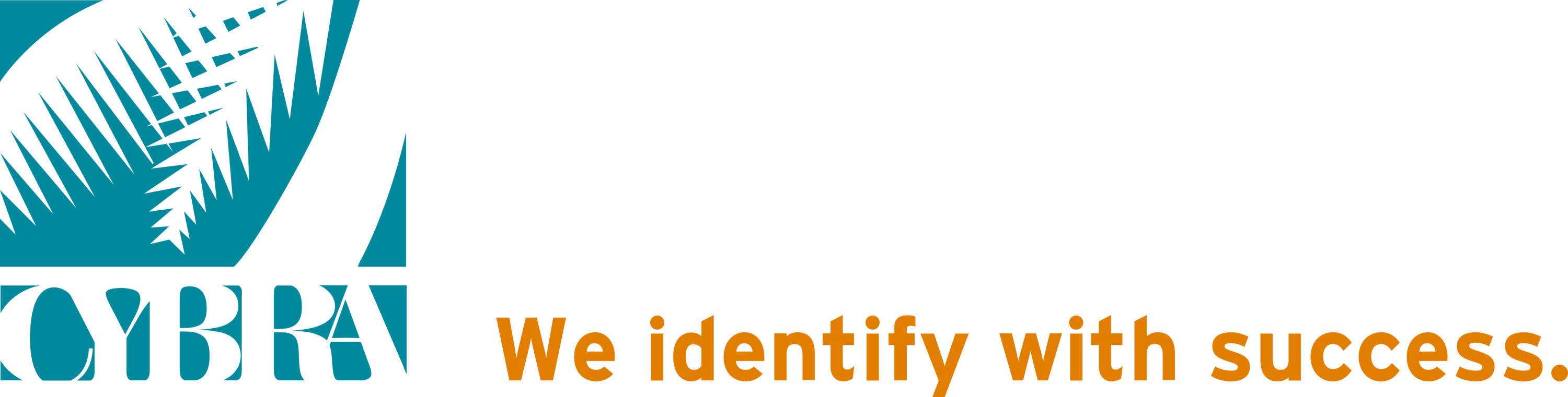 CYBRA Corporation Logo