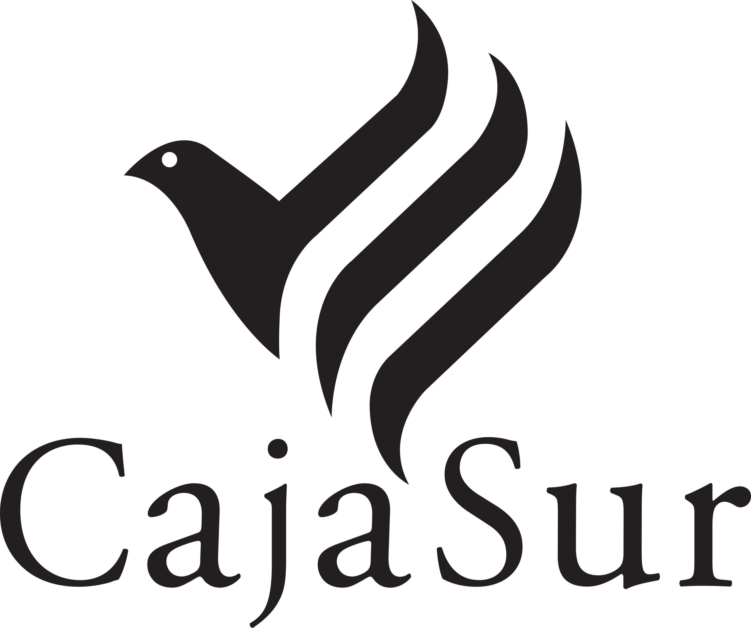 CajaSur Logo