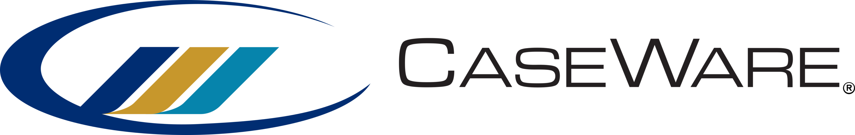CaseWare International Logo