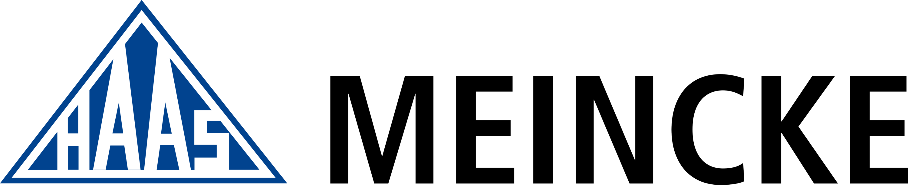 Haas Meincke Logo