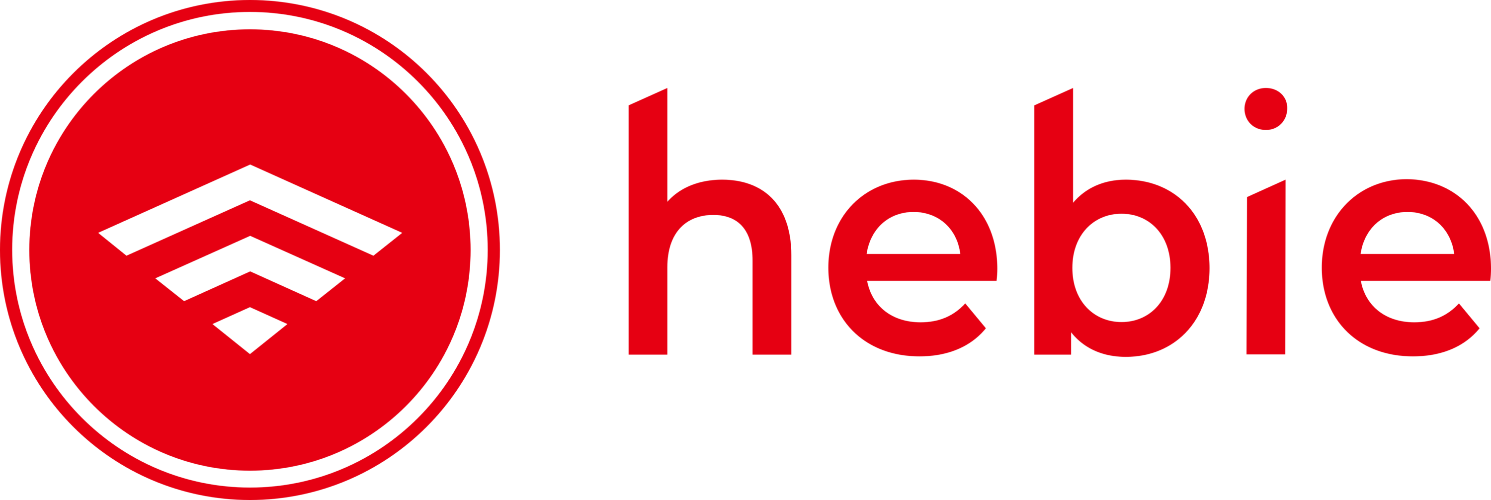 Hebie Gmbh Logo
