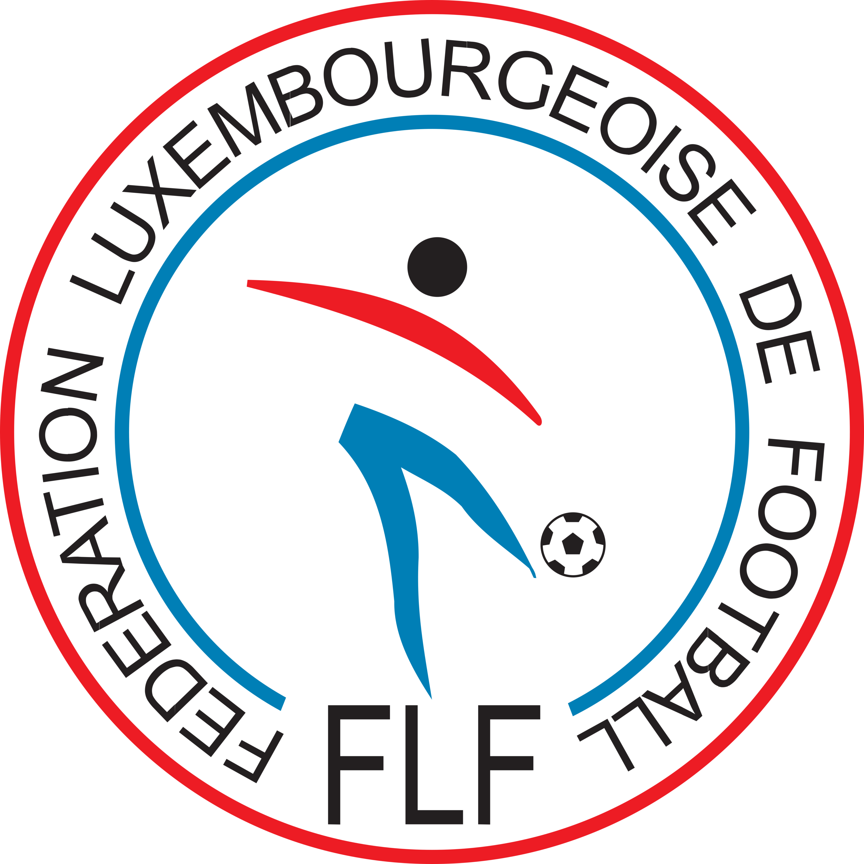 Luxembourg Football Federation Logo