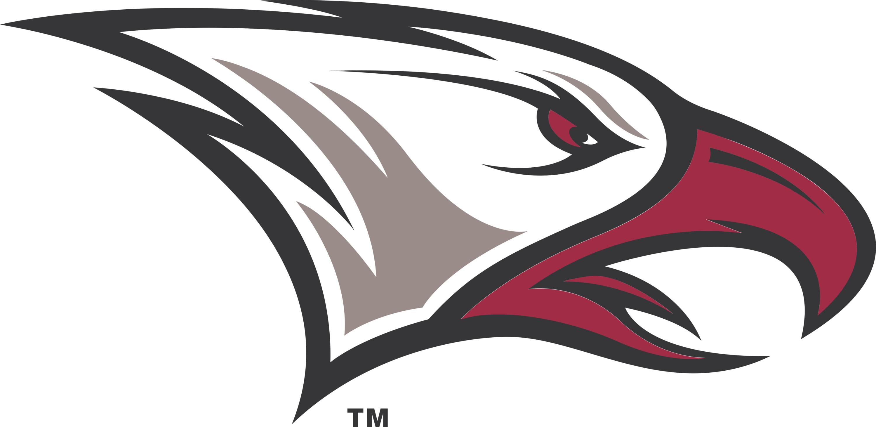 North Carolina Central Eagles Logo