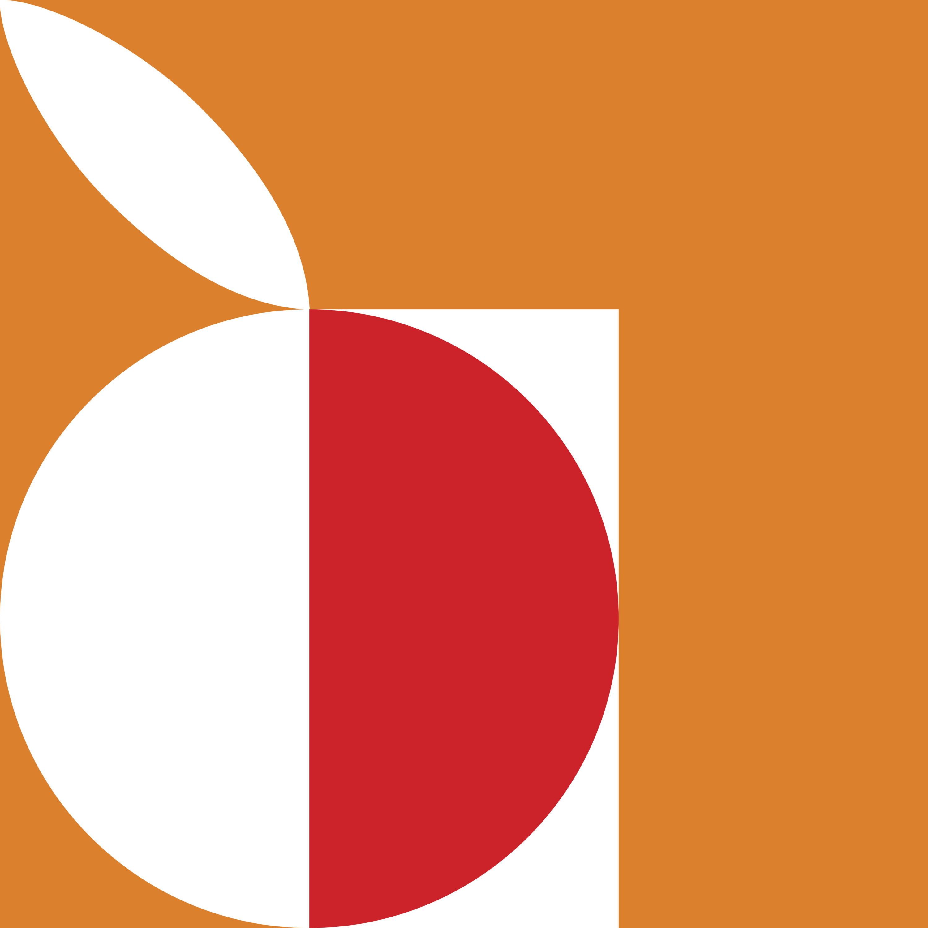 Priokskoe Logo