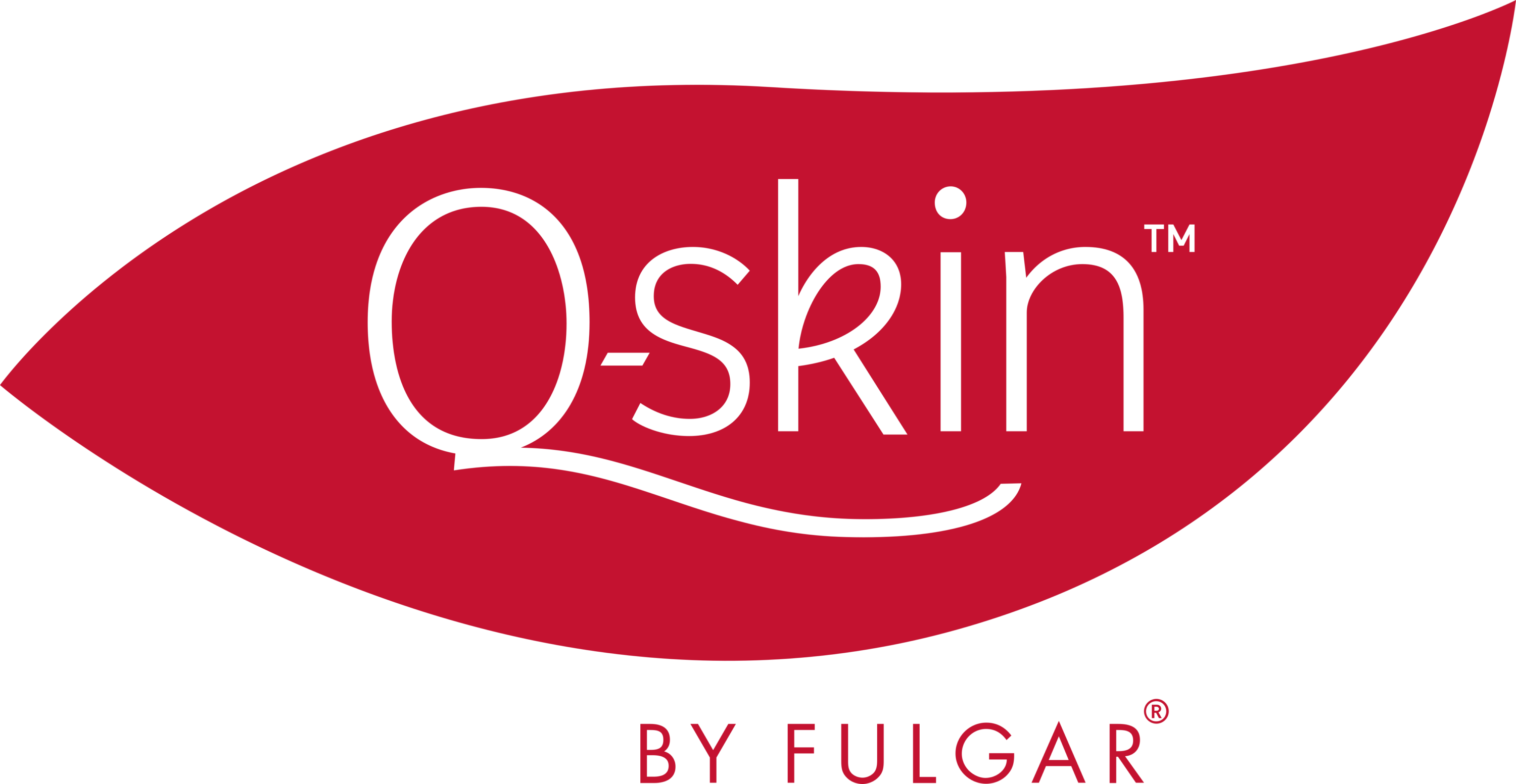 Q SKIN Logo