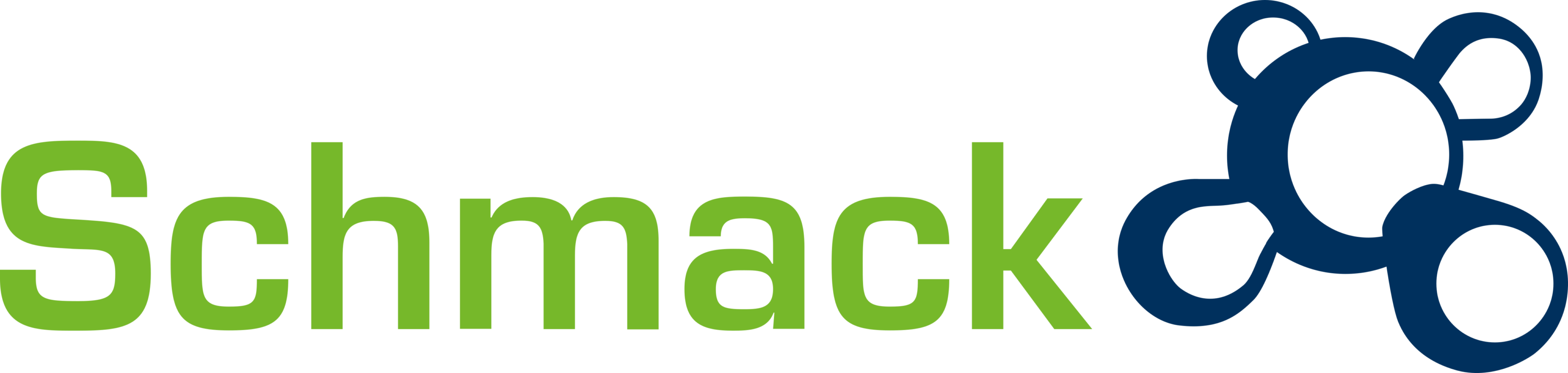 Schmack Biogas srl Logo