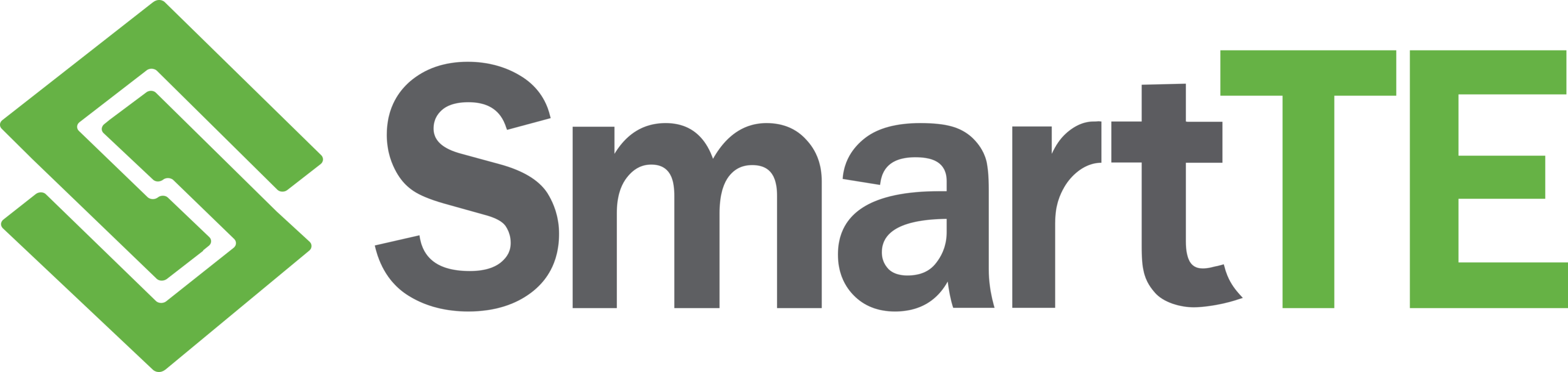 SmartTE Logo