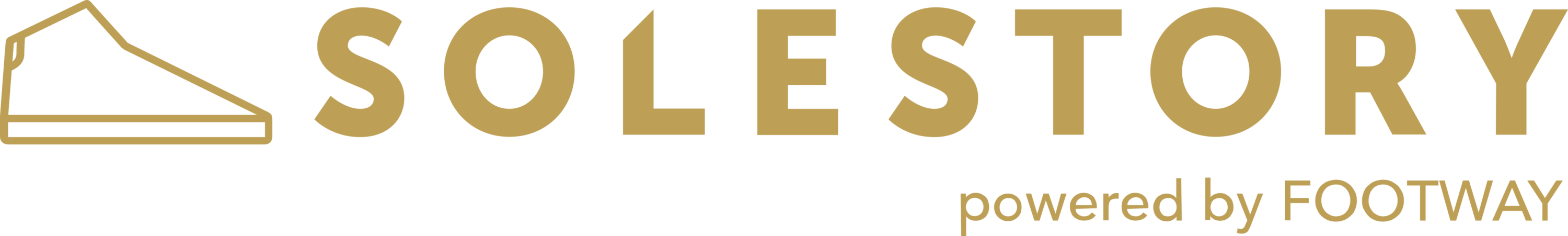 Solestory Logo