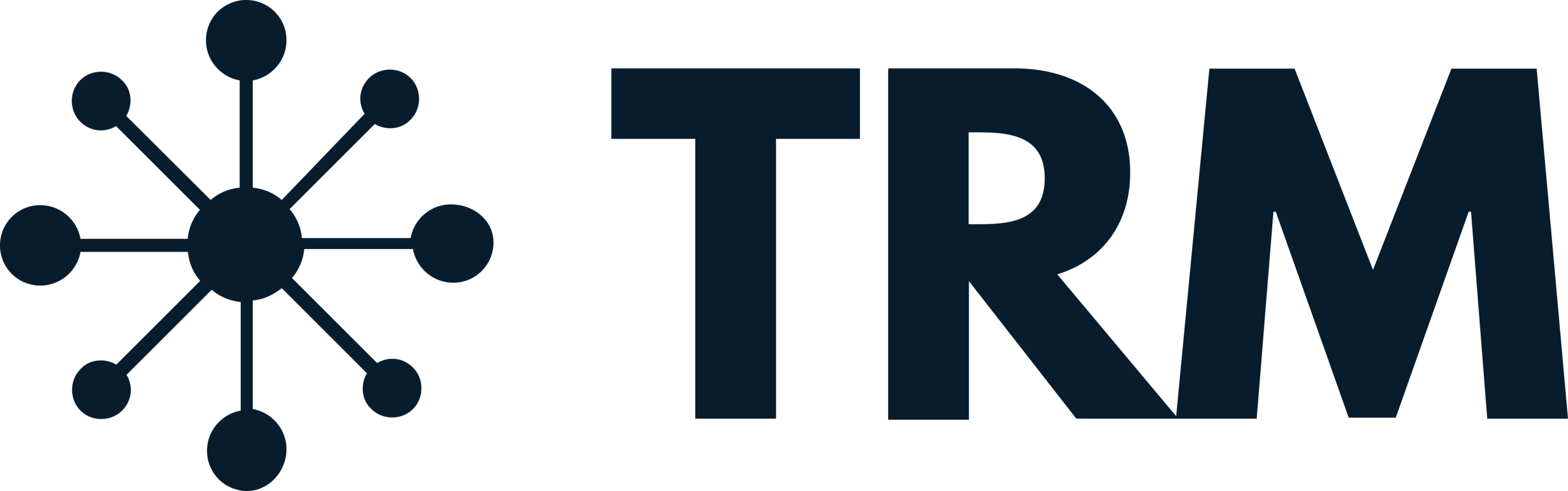 Trm Labs Logo