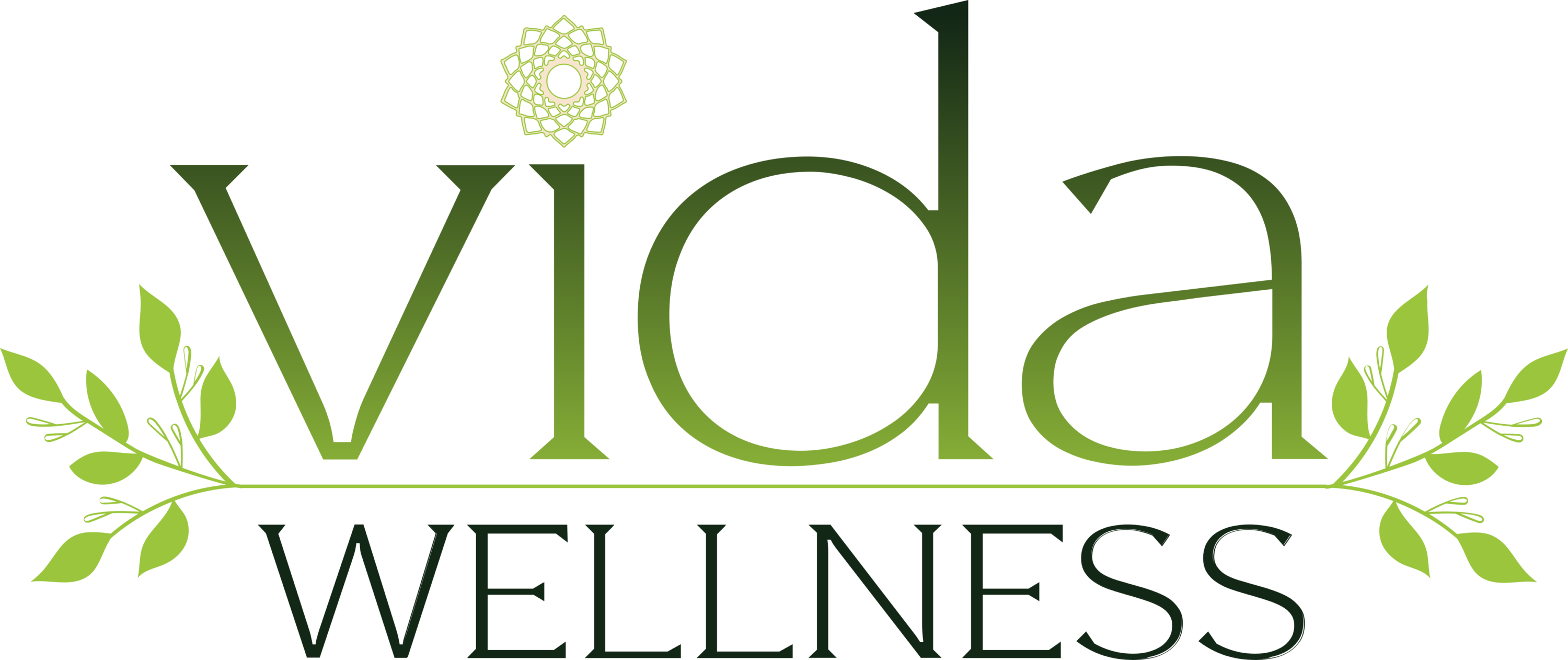 Vida Wellness Logo